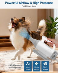 LOTYP secador con temperatura ajustable para un pelaje suave y seguro