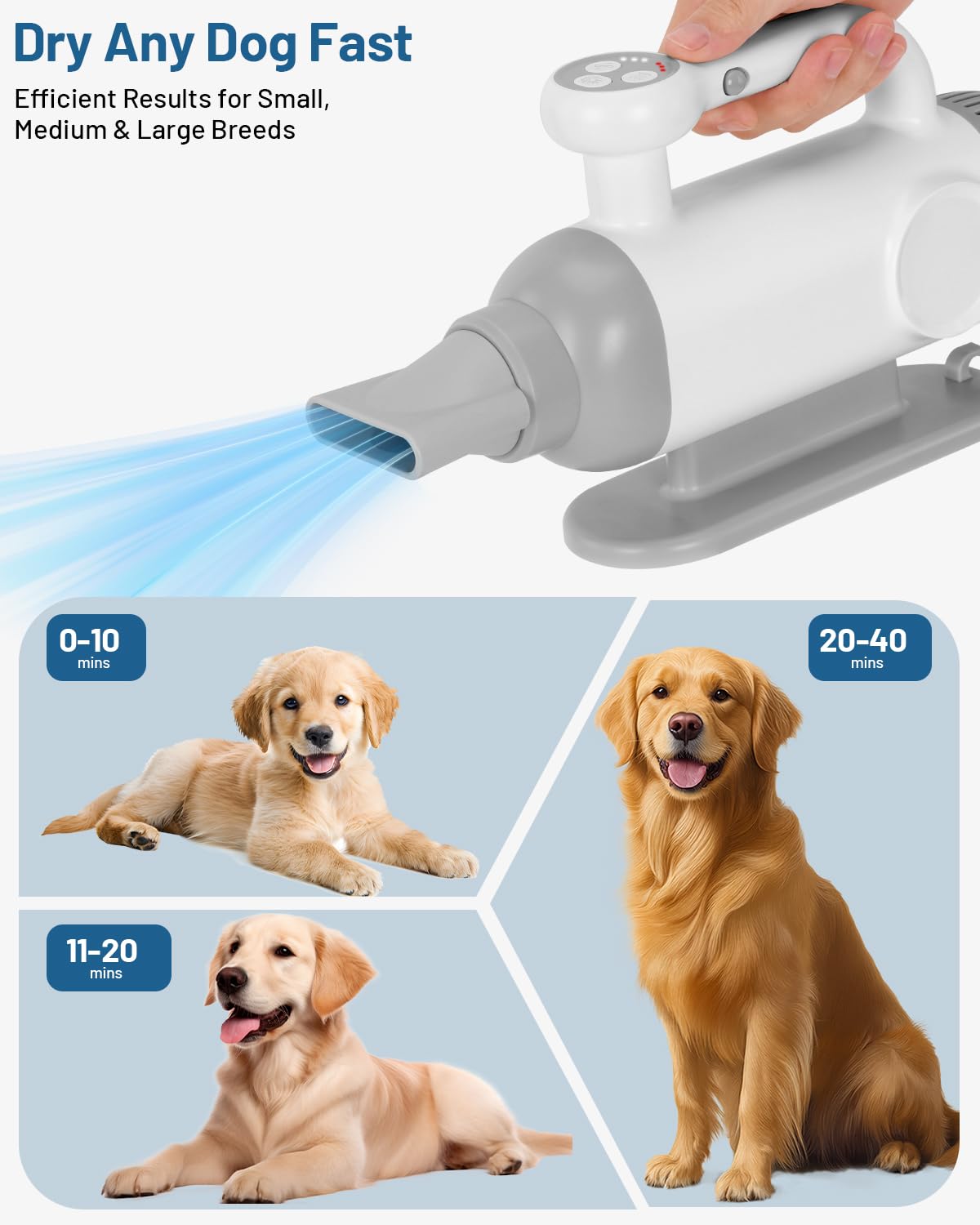 LOTYP diseño portátil sin manguera para secado preciso