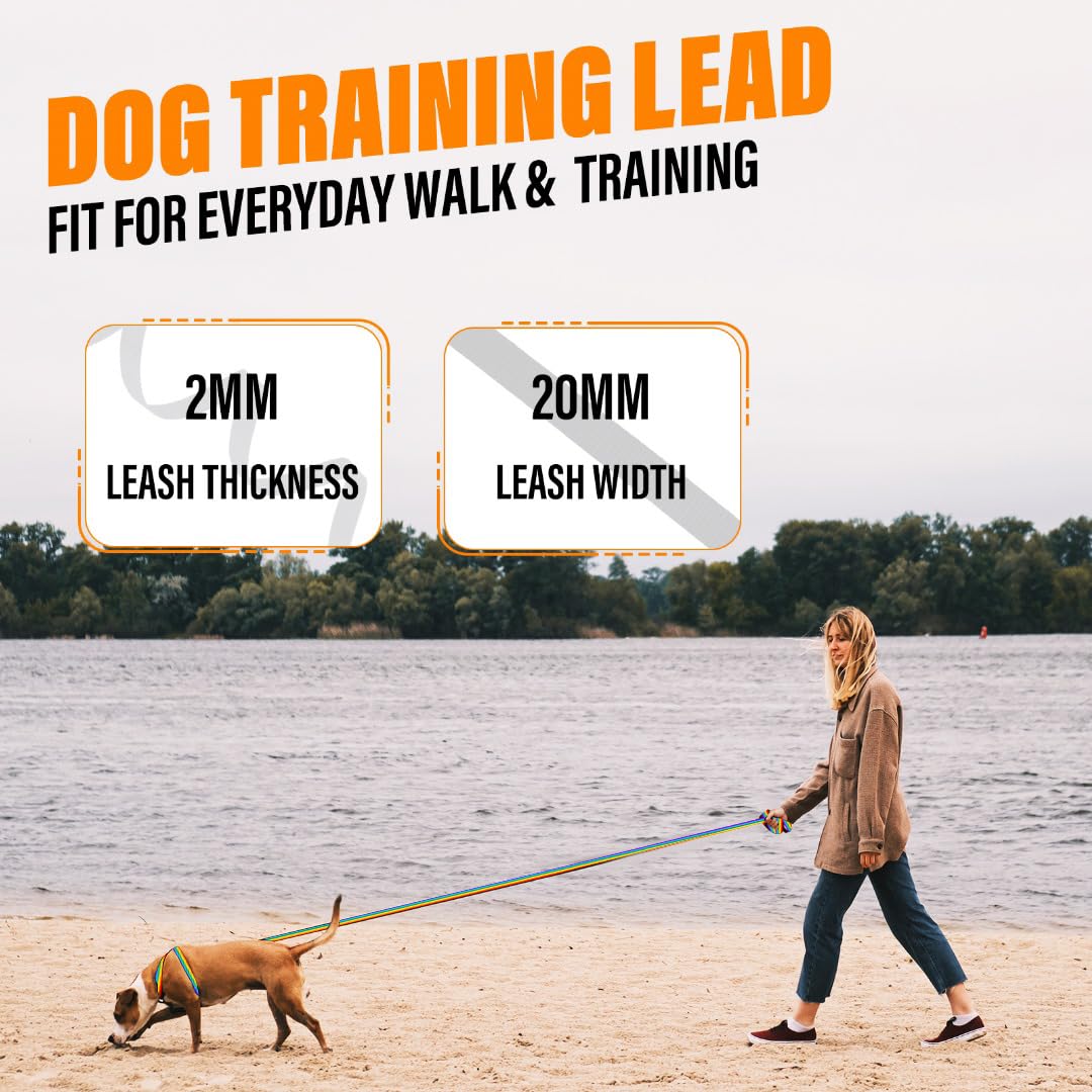 Loutep nylon 20 mm resistente, detalle de durabilidad para perros activos.