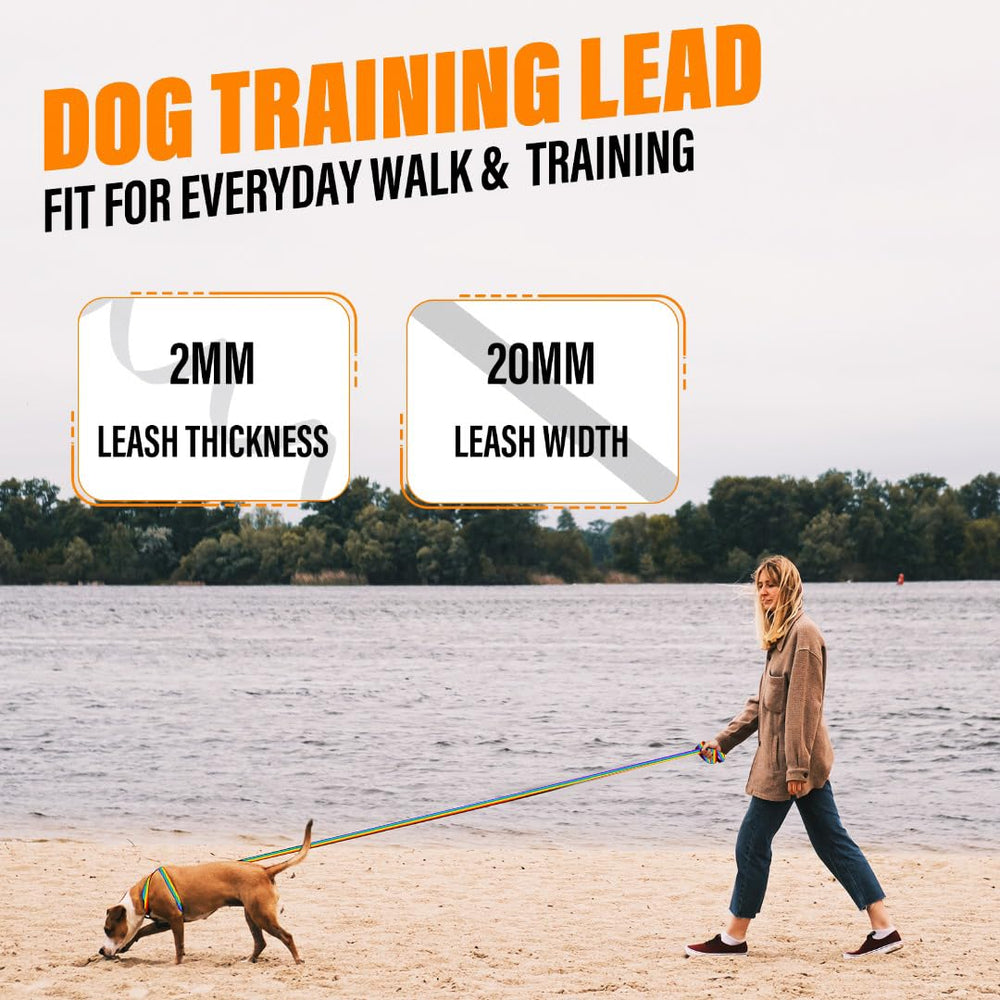 Loutep nylon 20 mm resistente, detalle de durabilidad para perros activos.