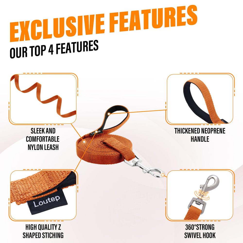 Loutep de 100 pies ofrece amplio rango para entrenar en parques y playas.