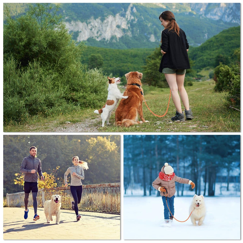 Loutep diferentes tallas para perros pequeños y grandes