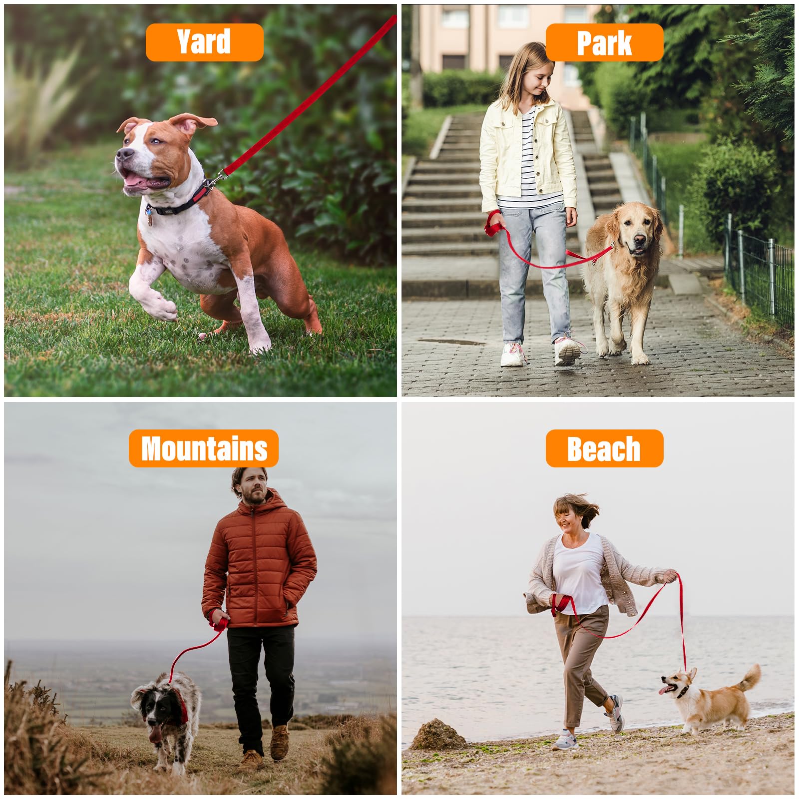 Loutep correa de nylon resistente, adecuada para perros pequeños, medianos y grandes.
