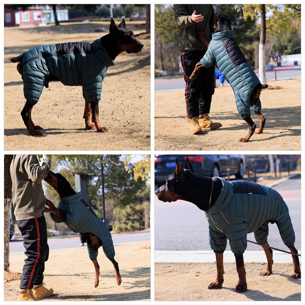 Lovelonglong ArmyGreen: disponible en siete tallas para adaptar a distintas razas.