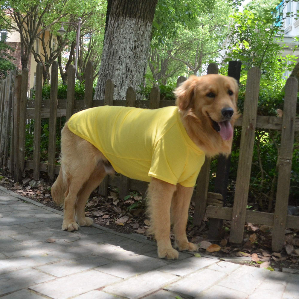 Lovelonglong camiseta básica para perro grande en amarillo, color vibrante.