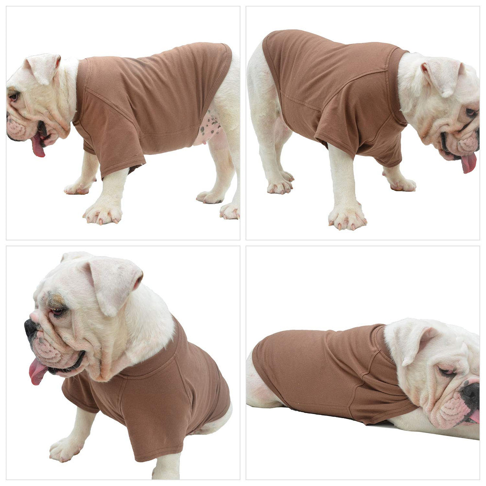 Lovelonglong diseños llamativos para activar el estilo de tu perro.