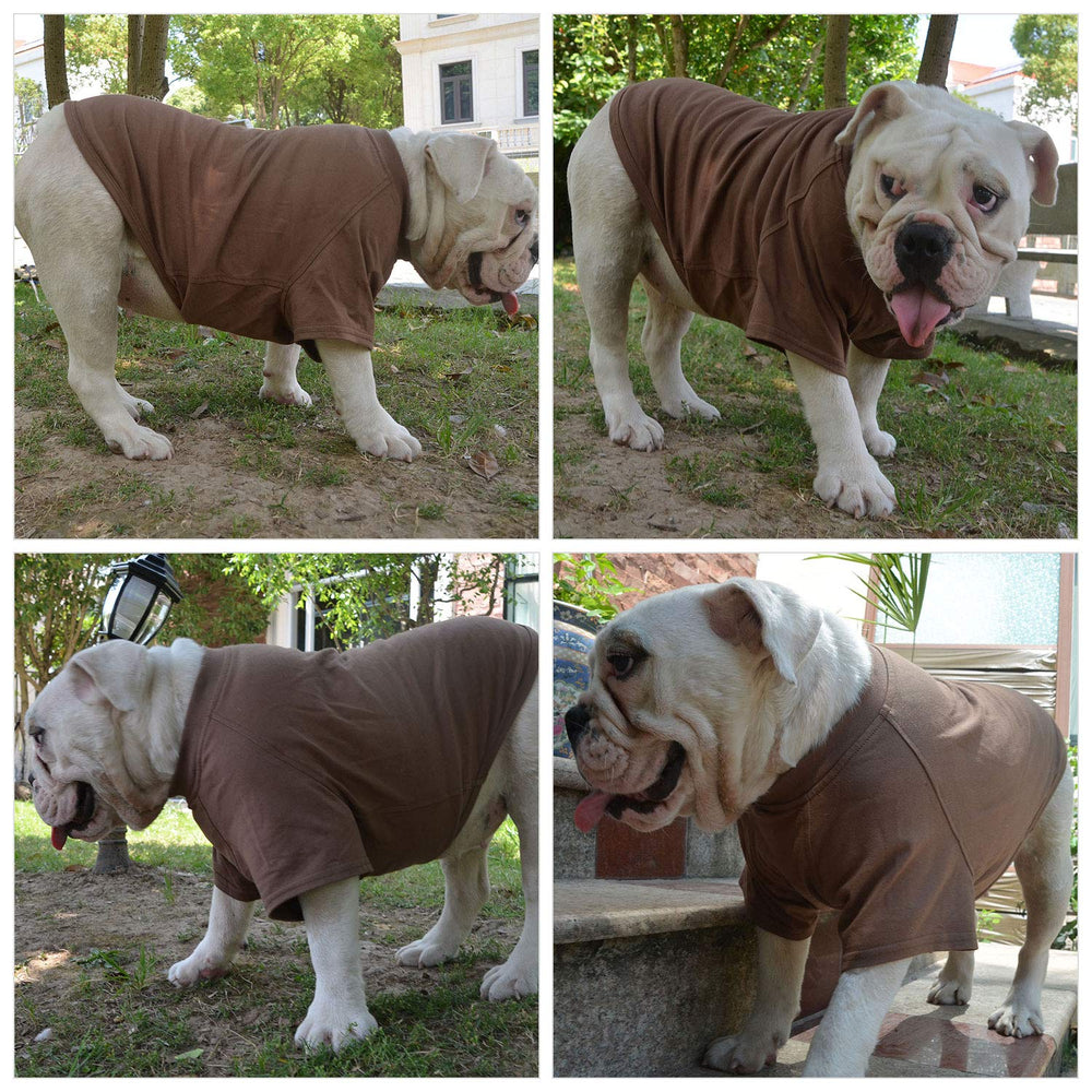 Lovelonglong uso diario, perfecto para paseos y juegos.