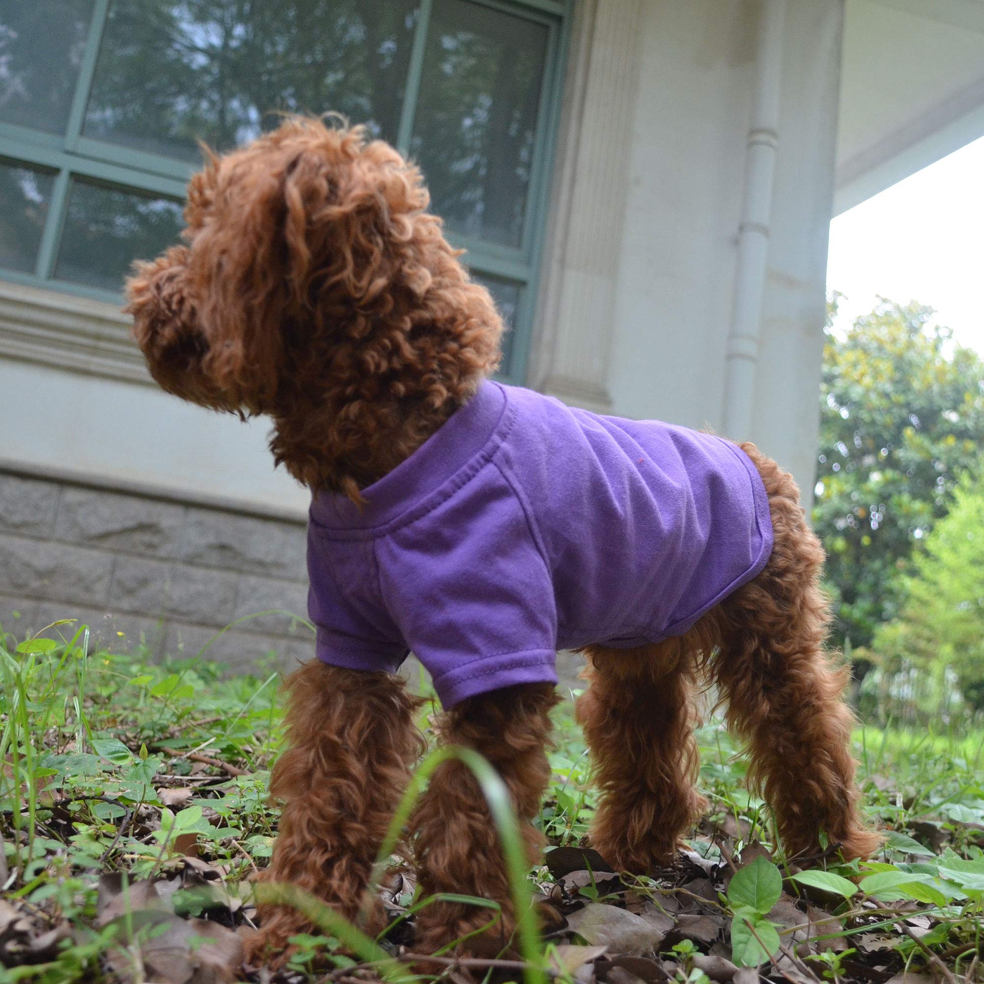 Lovelonglong camiseta para perro, lavado fácil con resultado suave.