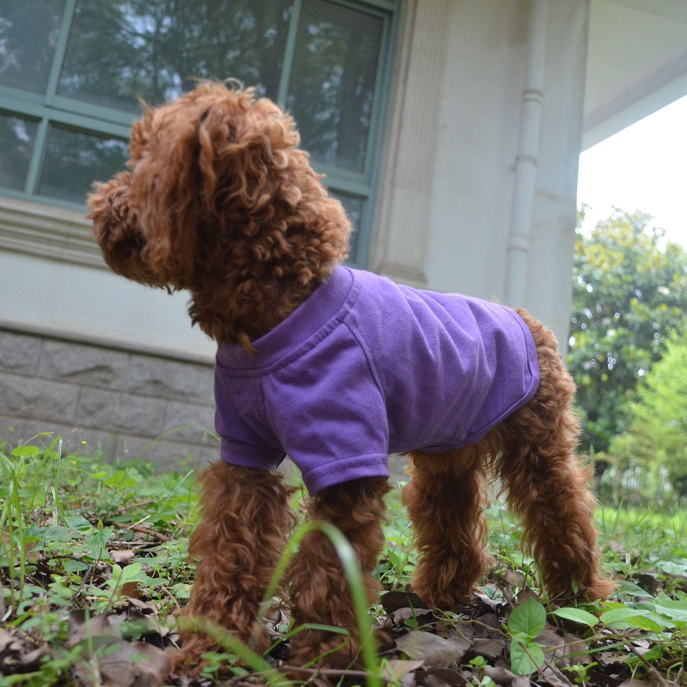 Lovelonglong camiseta para perro, lavado fácil con resultado suave.