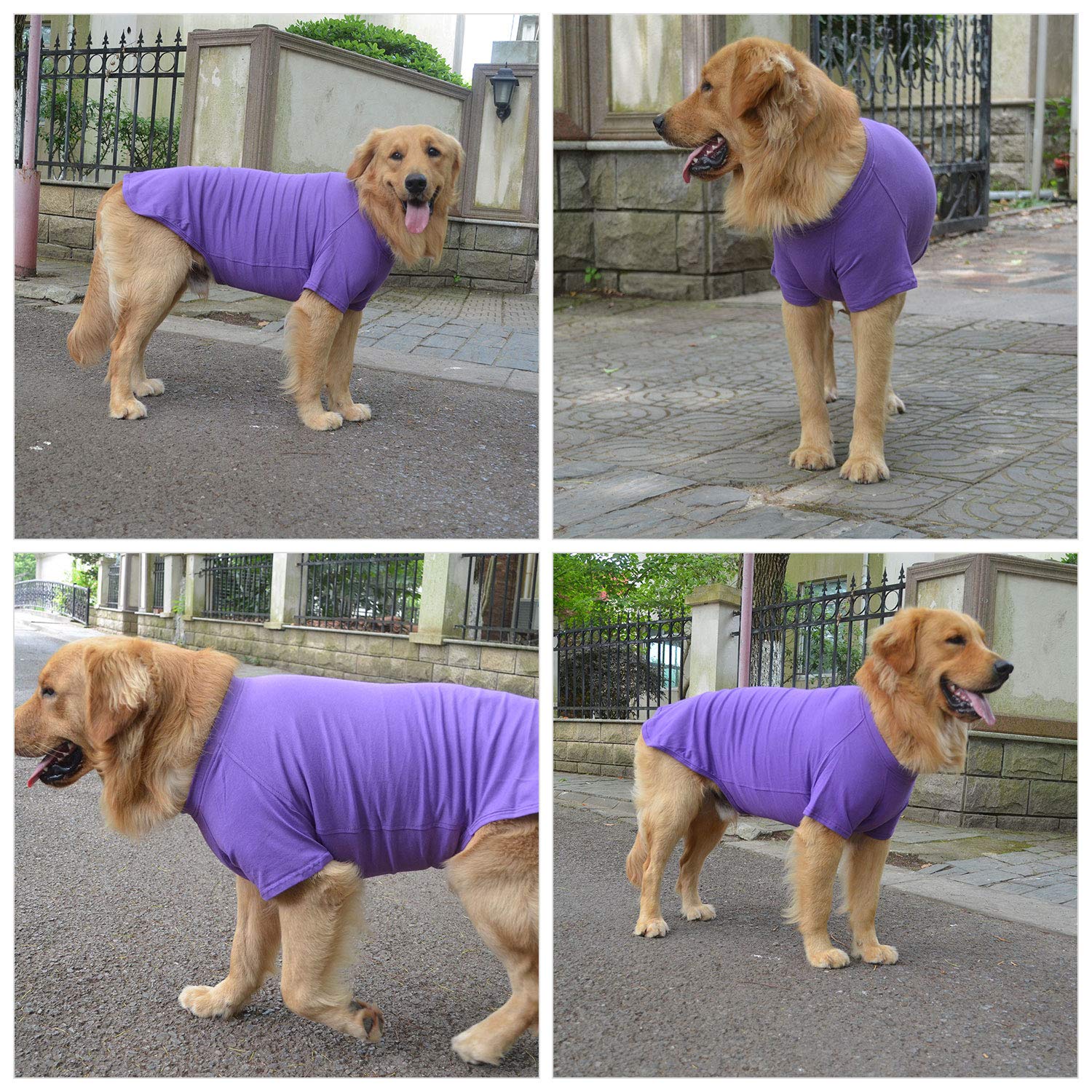 Lovelonglong camiseta para perro, modelo XS ideal para razas pequeñas.