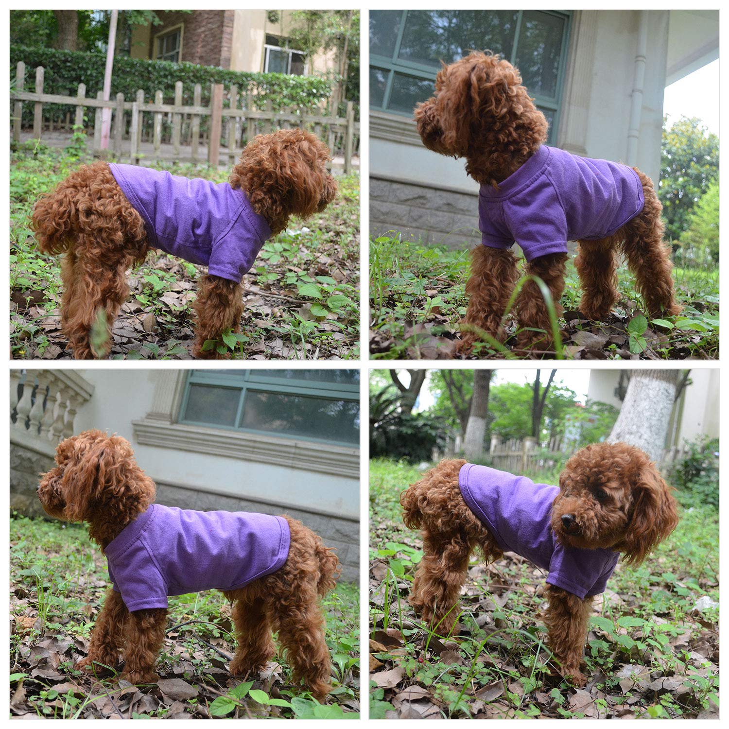 Lovelonglong camiseta para perro, uso en casa, fácil de vestir.