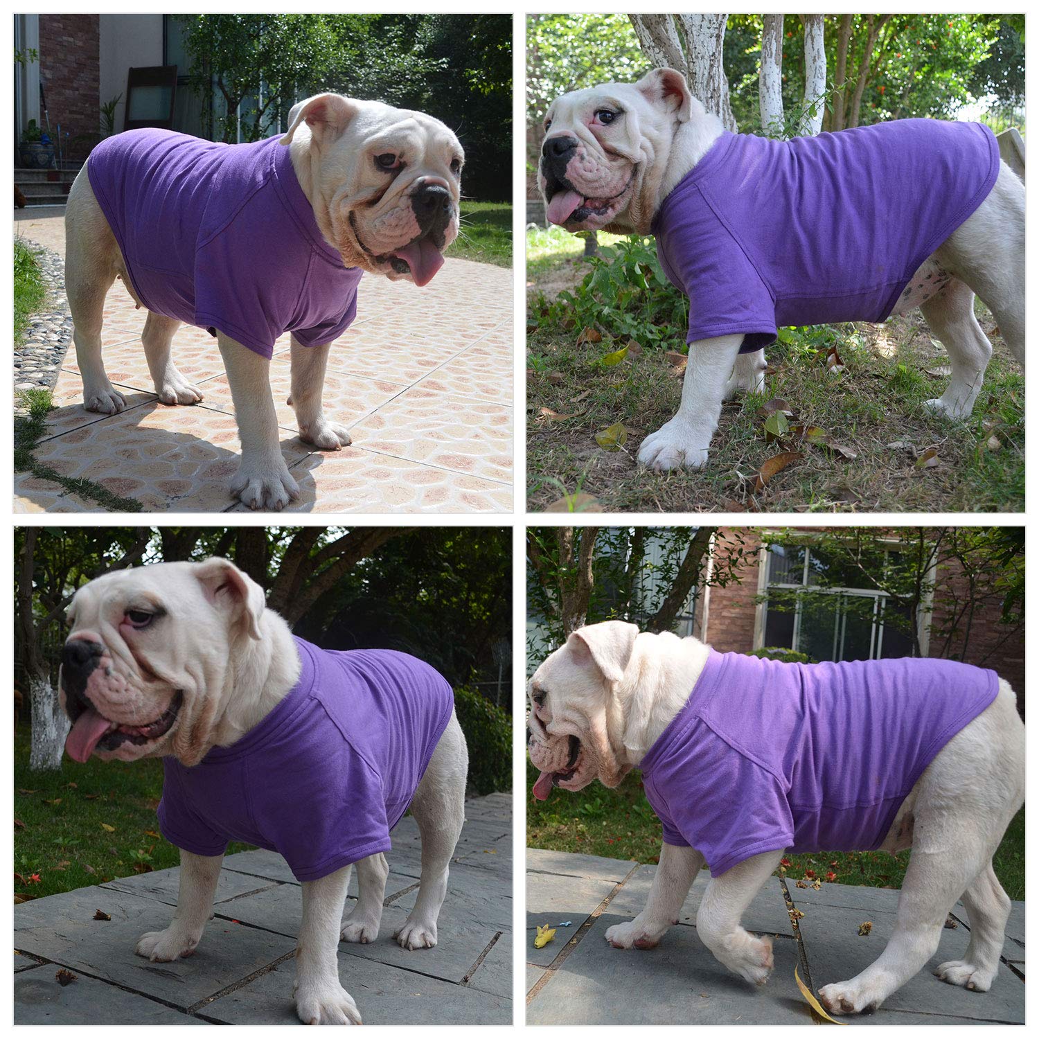 Lovelonglong camiseta para perro, muestra colores vivos para estilo.