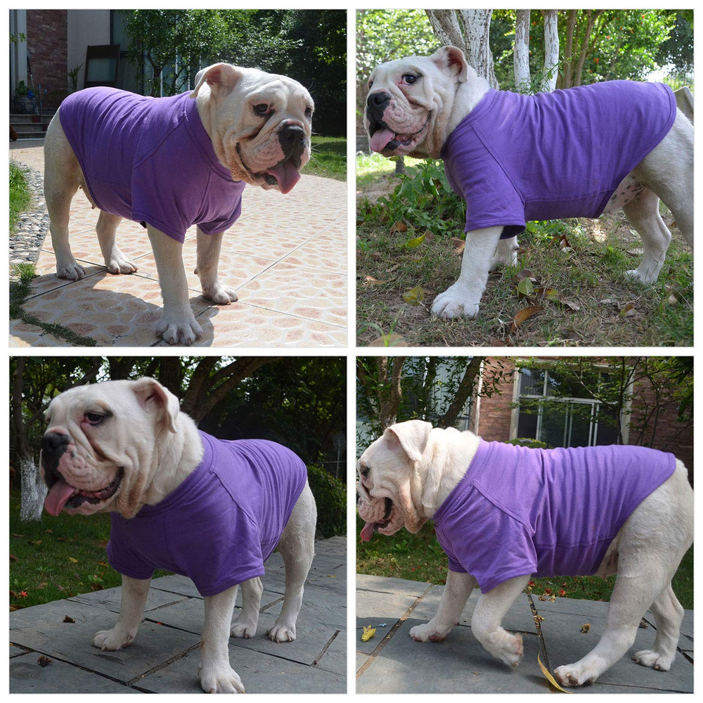 Lovelonglong camiseta para perro, muestra colores vivos para estilo.