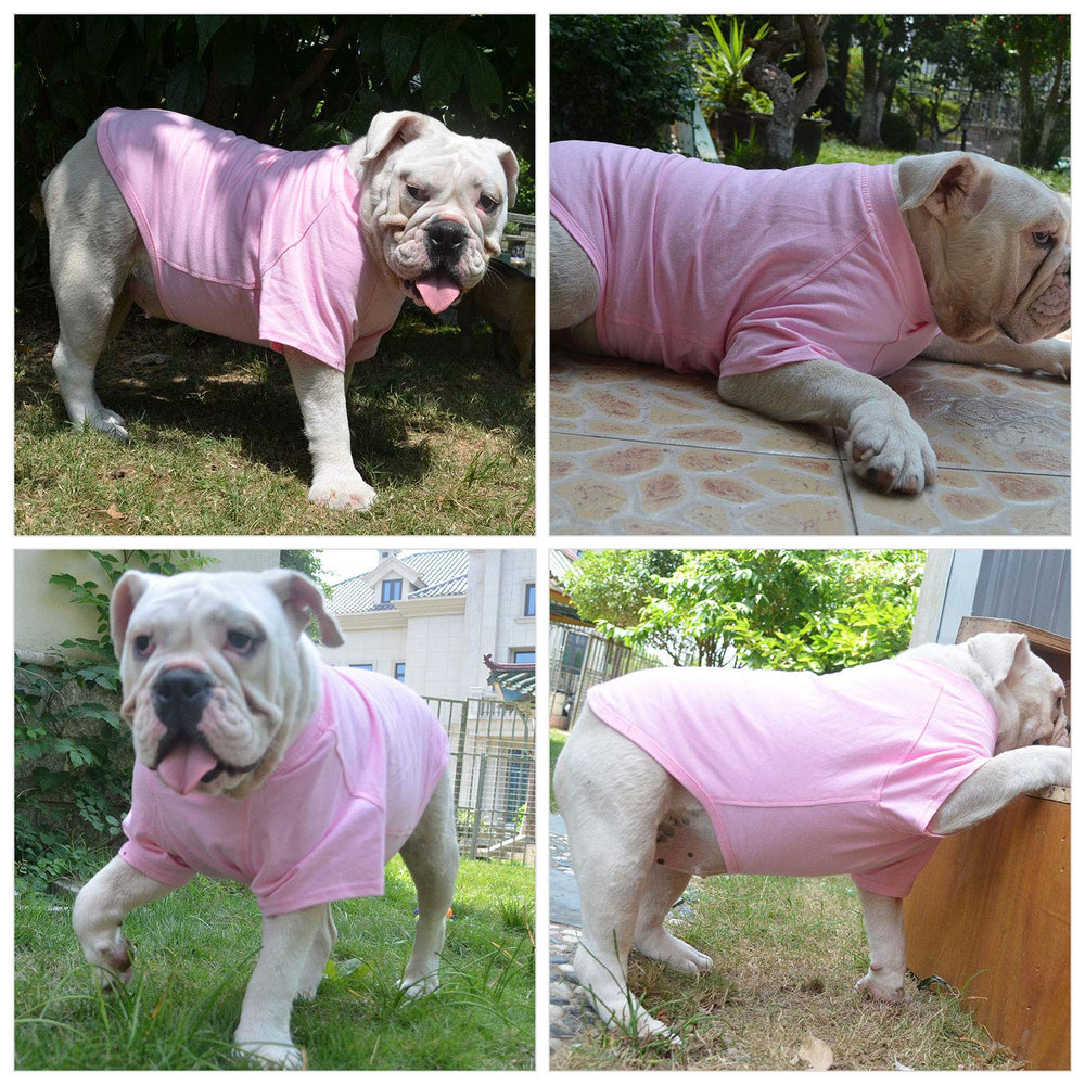Lovelonglong modelo en uso, perro grande luciendo rosa XXXXL durante paseo.
