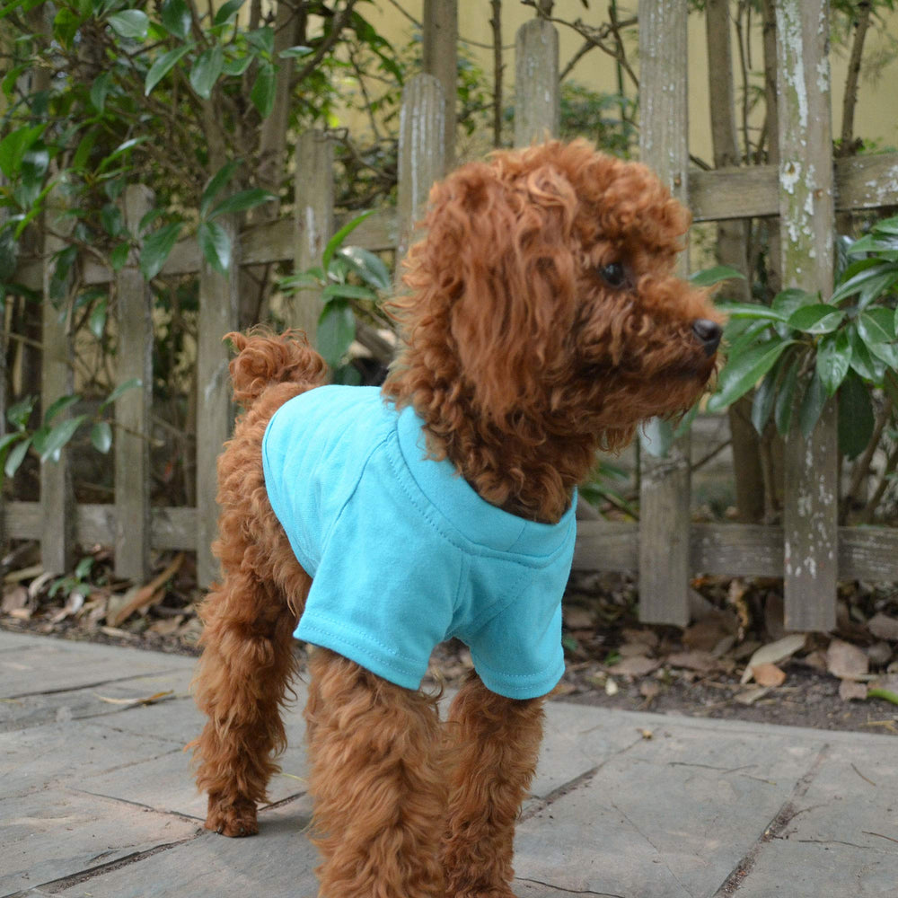 Lovelonglong camisetaperro basic-tshirt confort-diaria, opcion casual para paseos