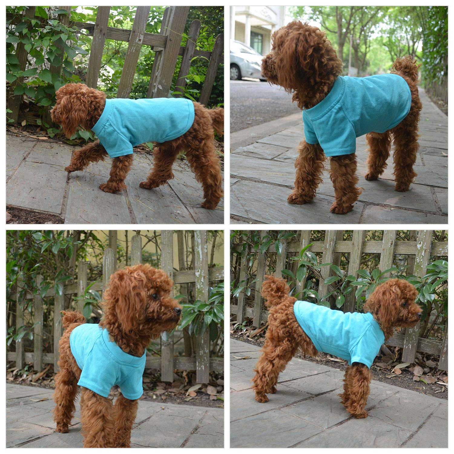 Lovelonglong camisetaperro basic-tshirt facil-lavado, lavado sencillo con agua fría