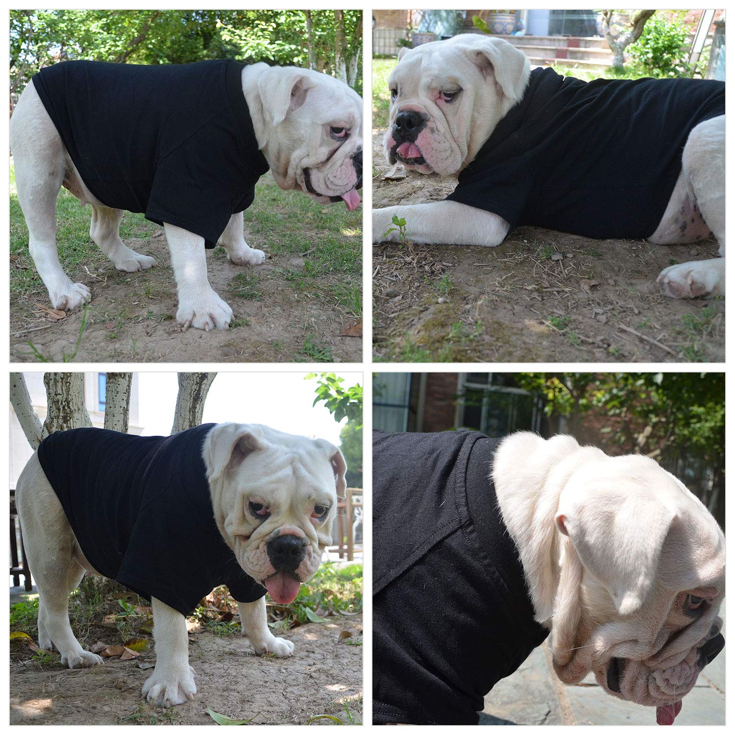 Lovelonglong camiseta básica negro talla S confort para cachorros activos.