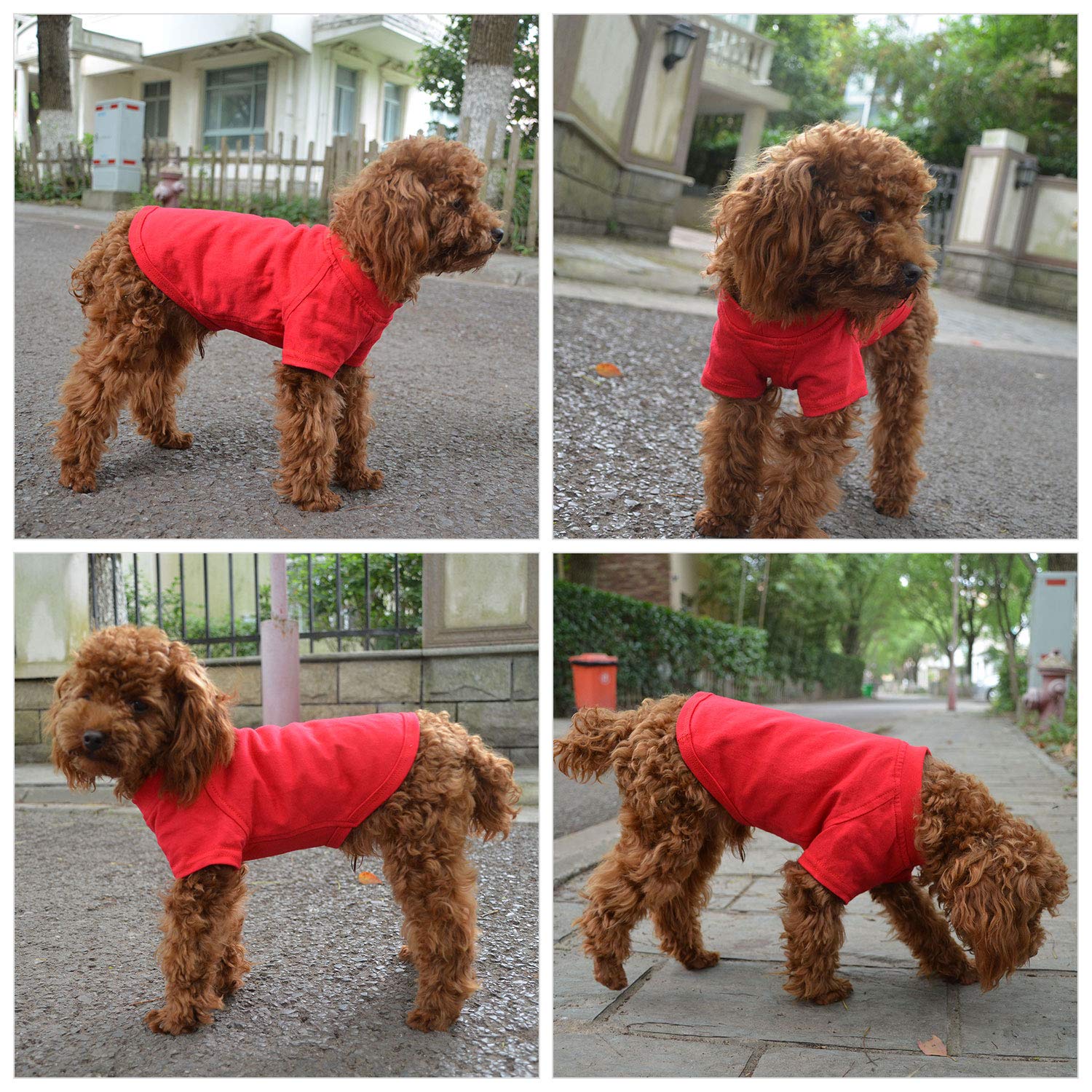 Lovelonglong etiqueta de marca visible en camiseta para perro