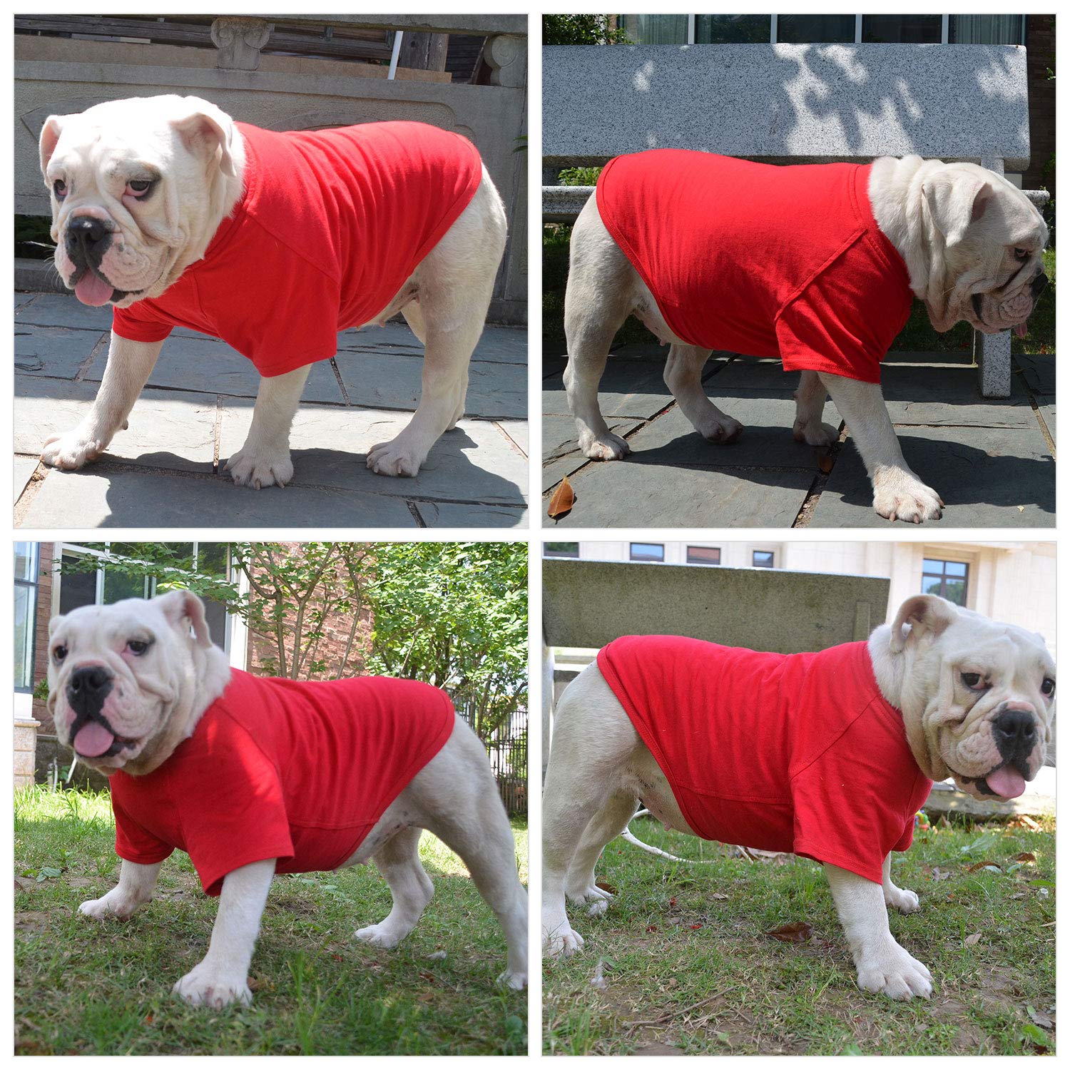 Lovelonglong camiseta para perro, lavado fácil en casa