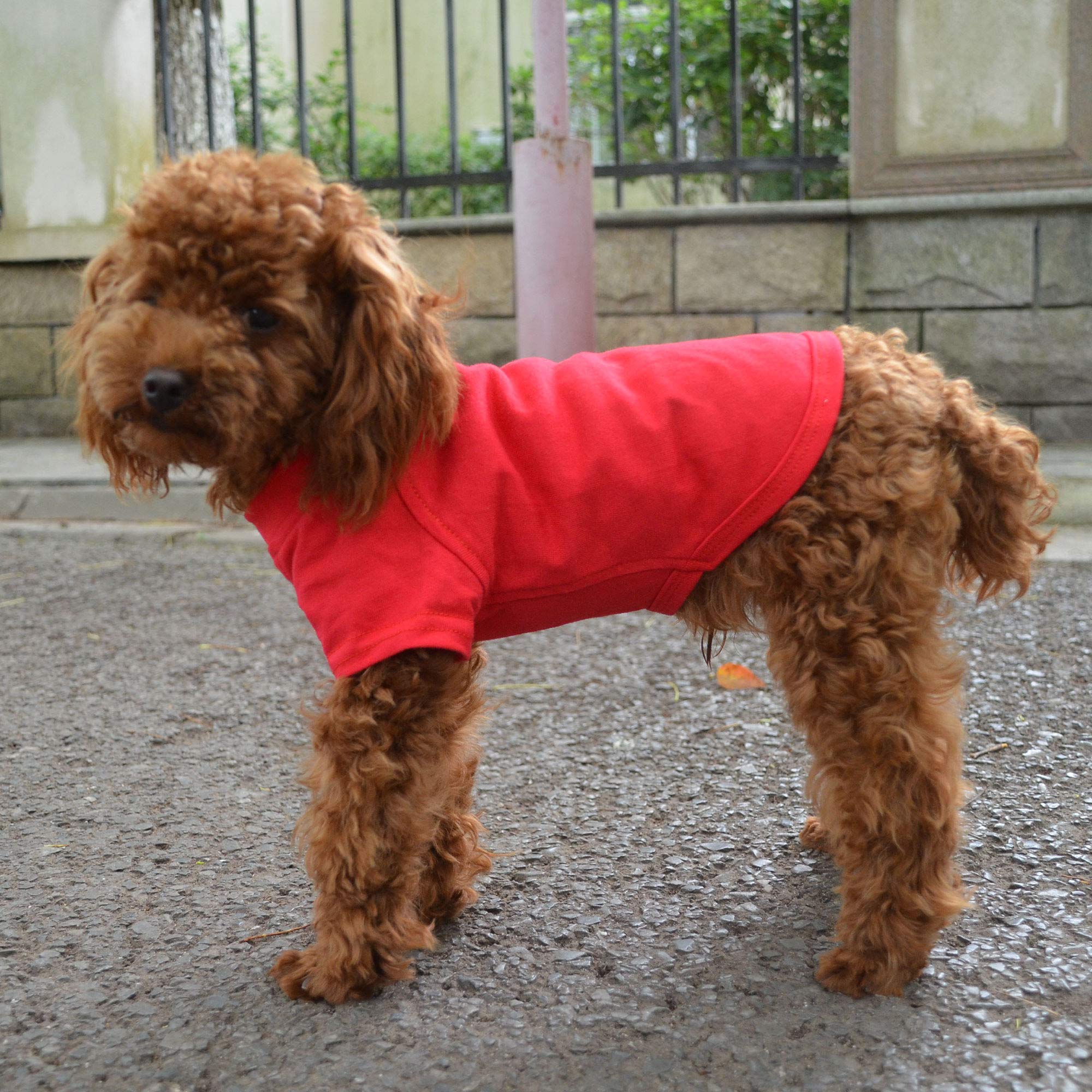 Lovelonglong camiseta para perro, ideal para salidas diarias