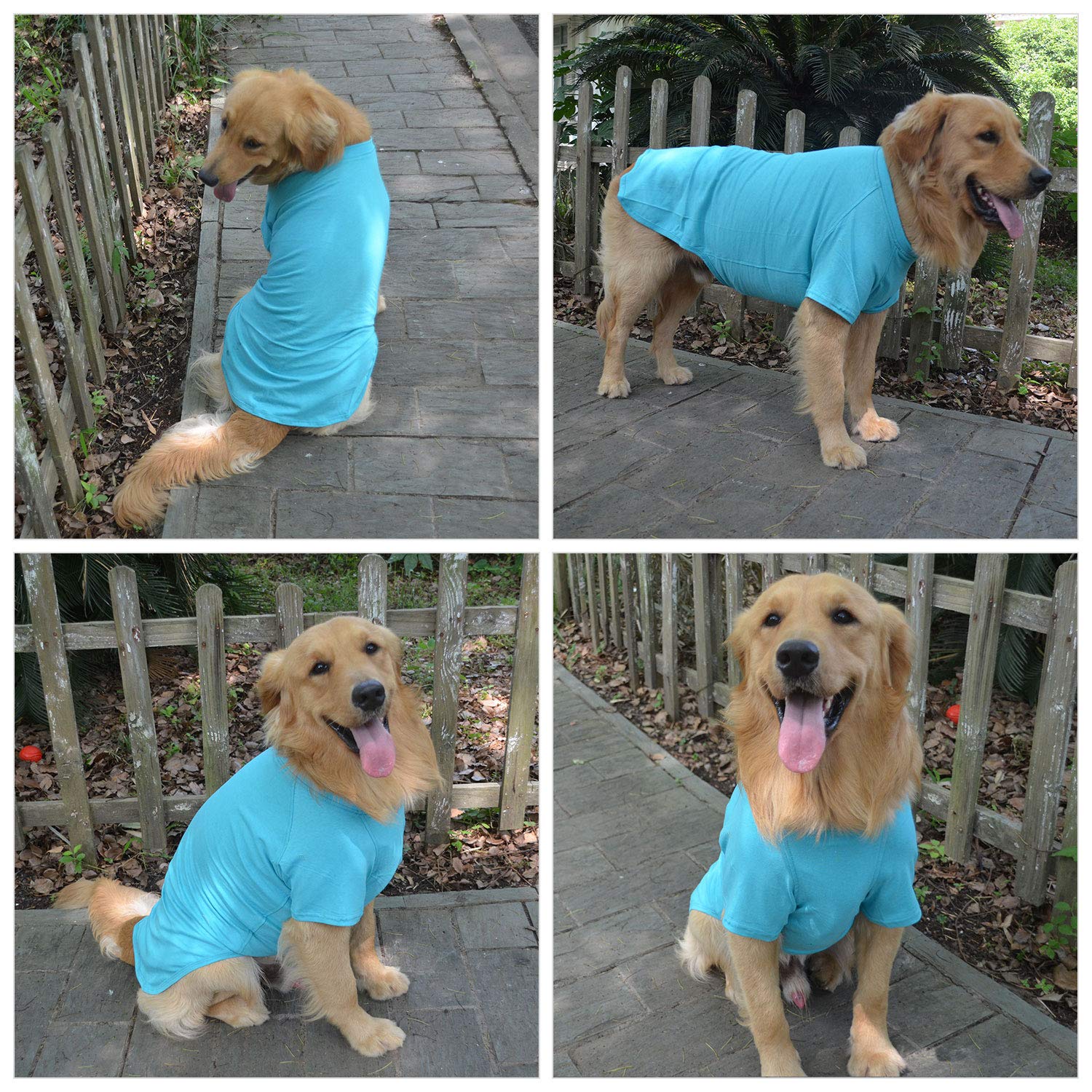 Lovelonglong camiseta para perro, colores vivos, estilo llamativo para festividades.