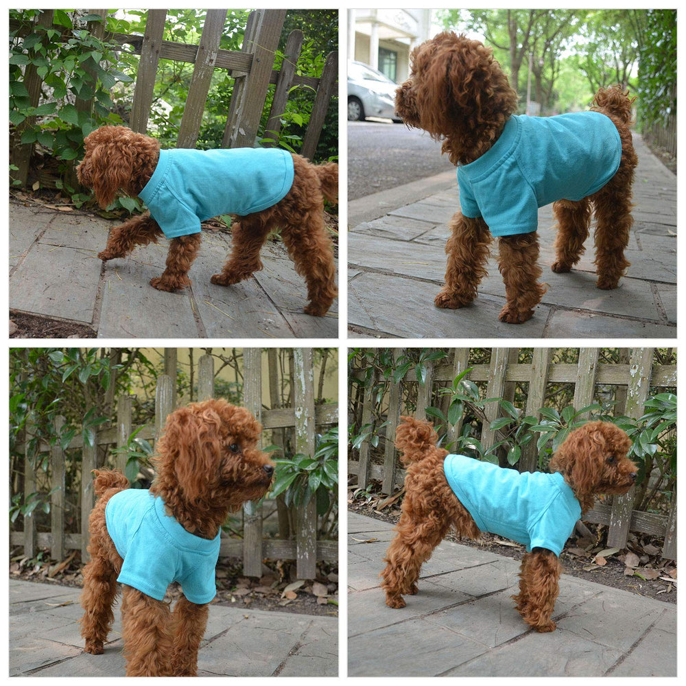 Lovelonglong camiseta para perro, interior suave, sensación agradable durante todo el día.