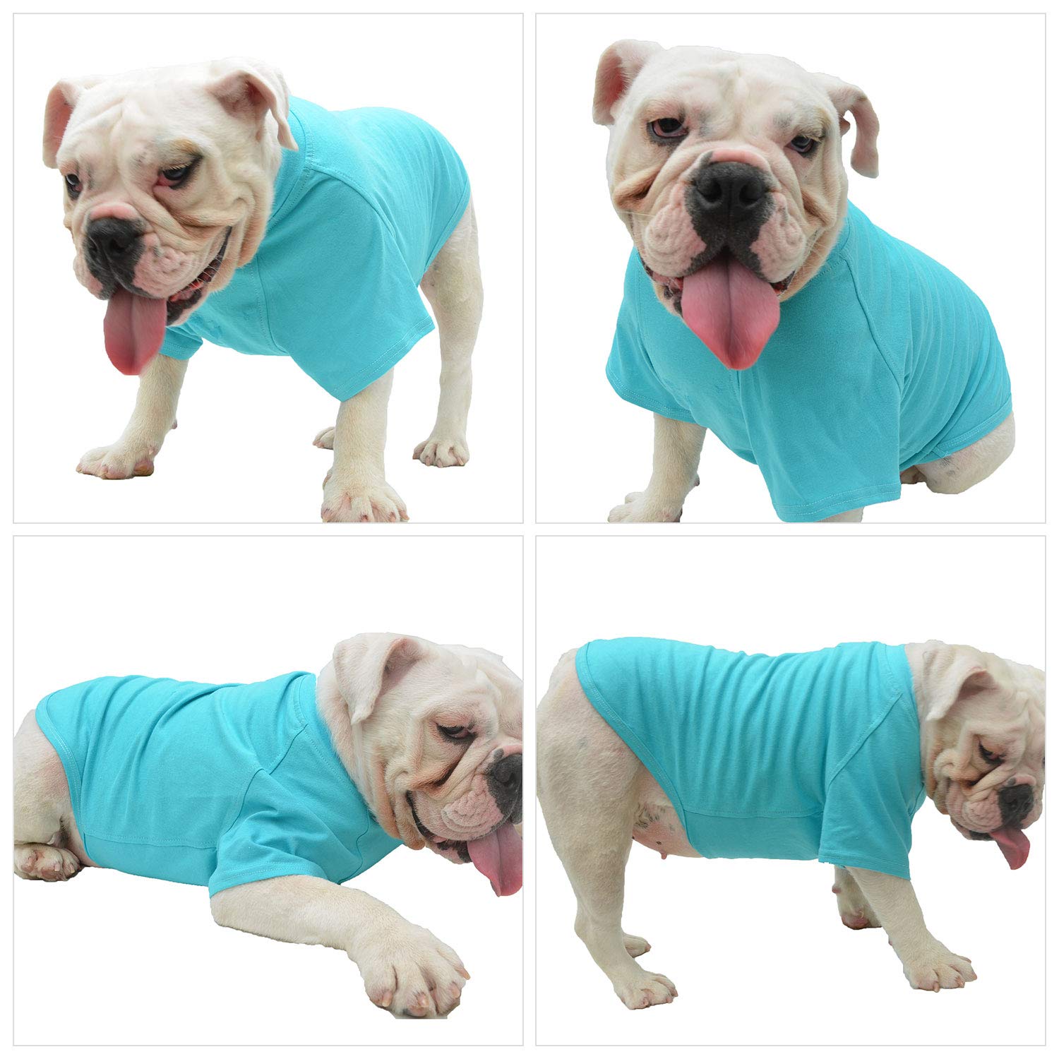 Lovelonglong camiseta para perro, look coordinado, perfecto para fotos y paseos.