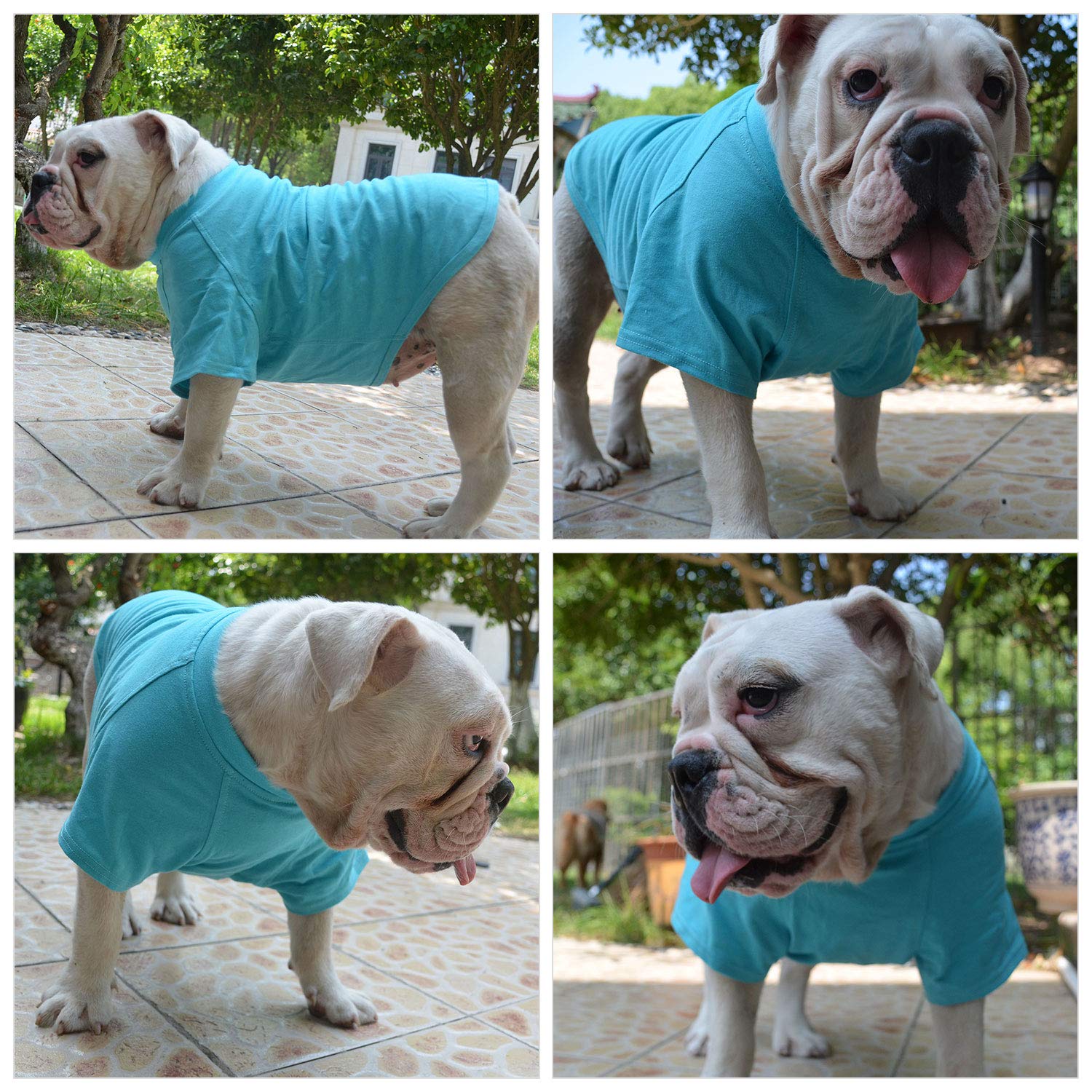 Lovelonglong camiseta para perro, uso diario al exterior, fácil de lavar.