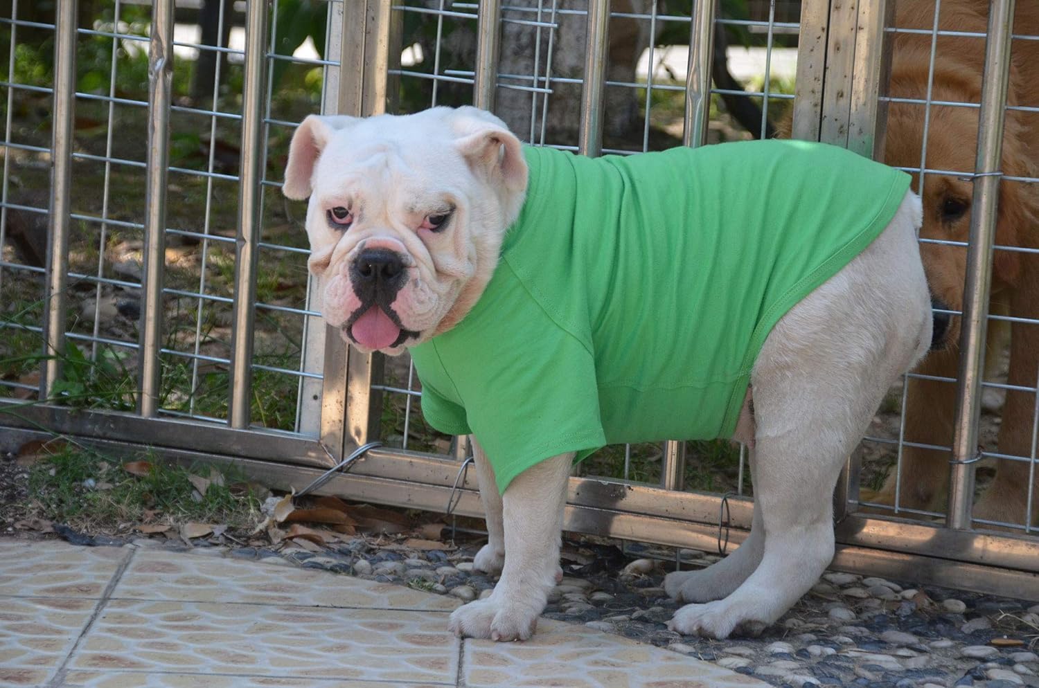 Lovelonglong camiseta para perro Bulldog, 100% algodón de alta calidad.