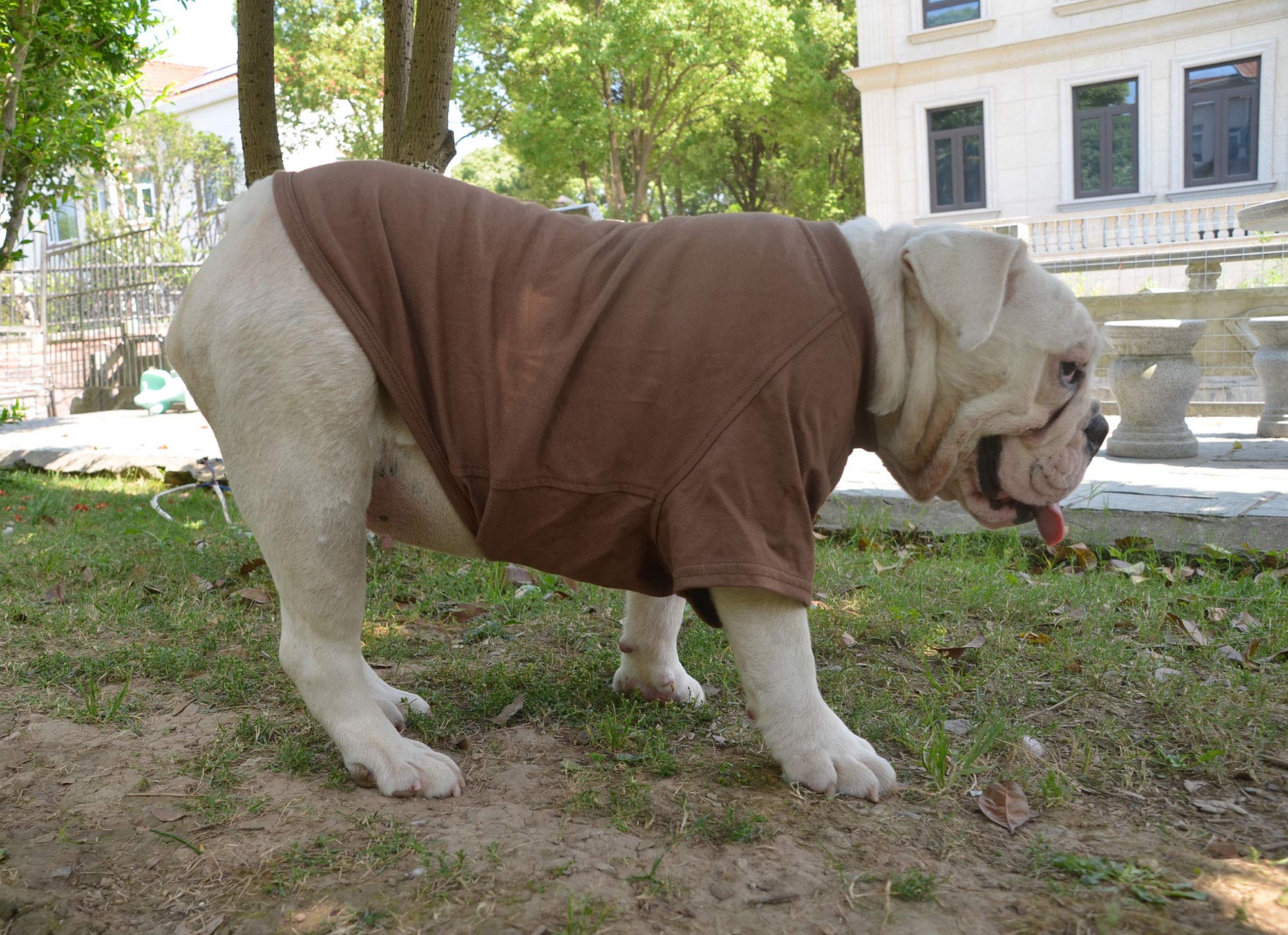 Lovelonglong opción práctica para ropa diaria de perros bulldog.