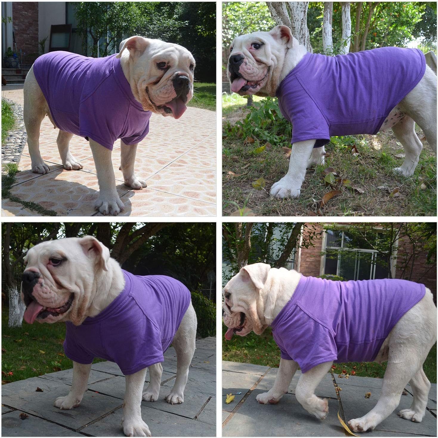 Lovelonglong camiseta bulldog, diseño clásico, fácil de lavar y mantener.