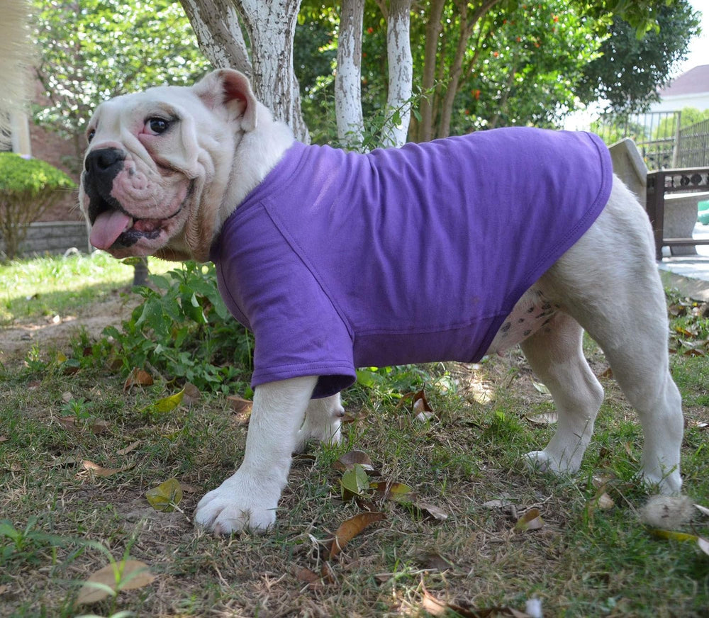 Lovelonglong camiseta bulldog, lavado fácil, mantiene la limpieza entre paseos.