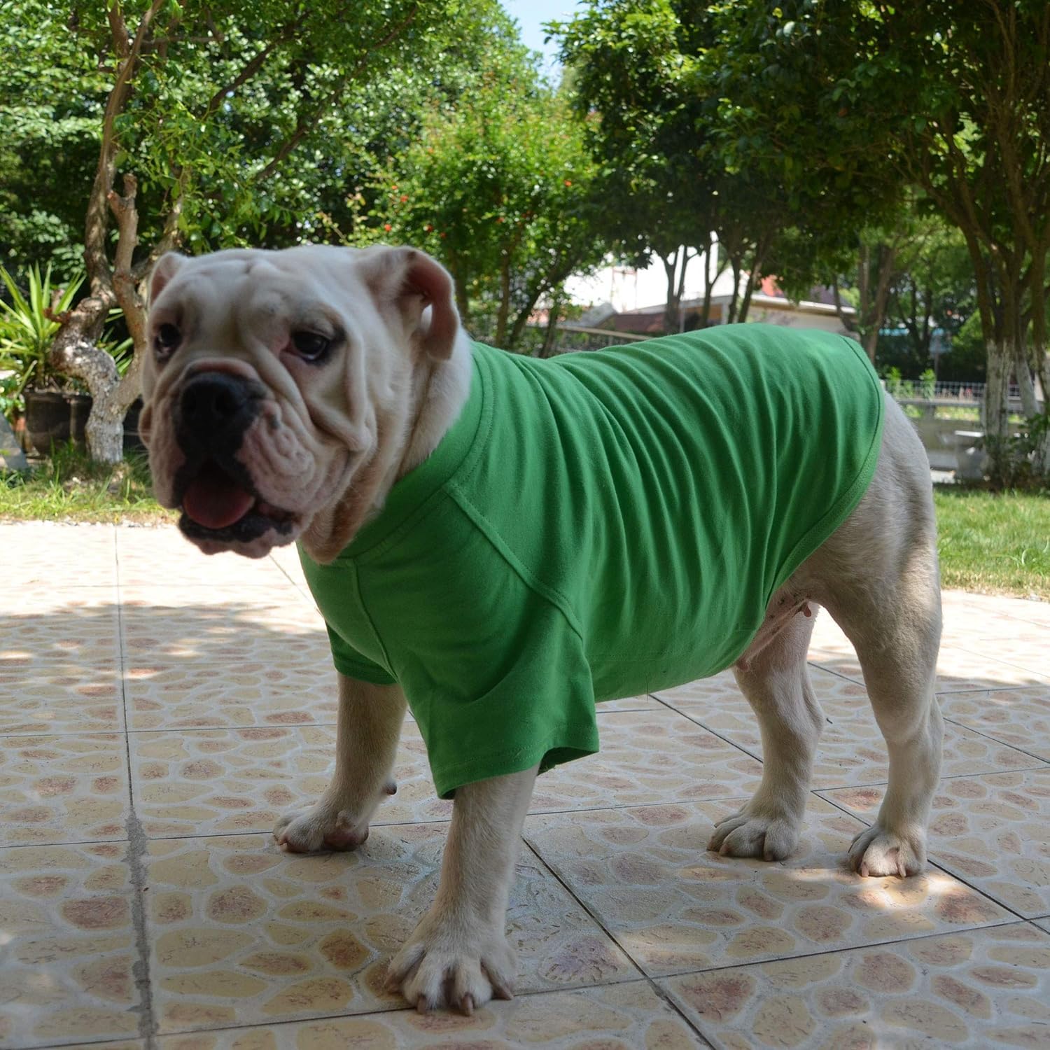 Lovelonglong Ropa diaria para perro Bulldog, uso cómodo en cualquier ocasión.