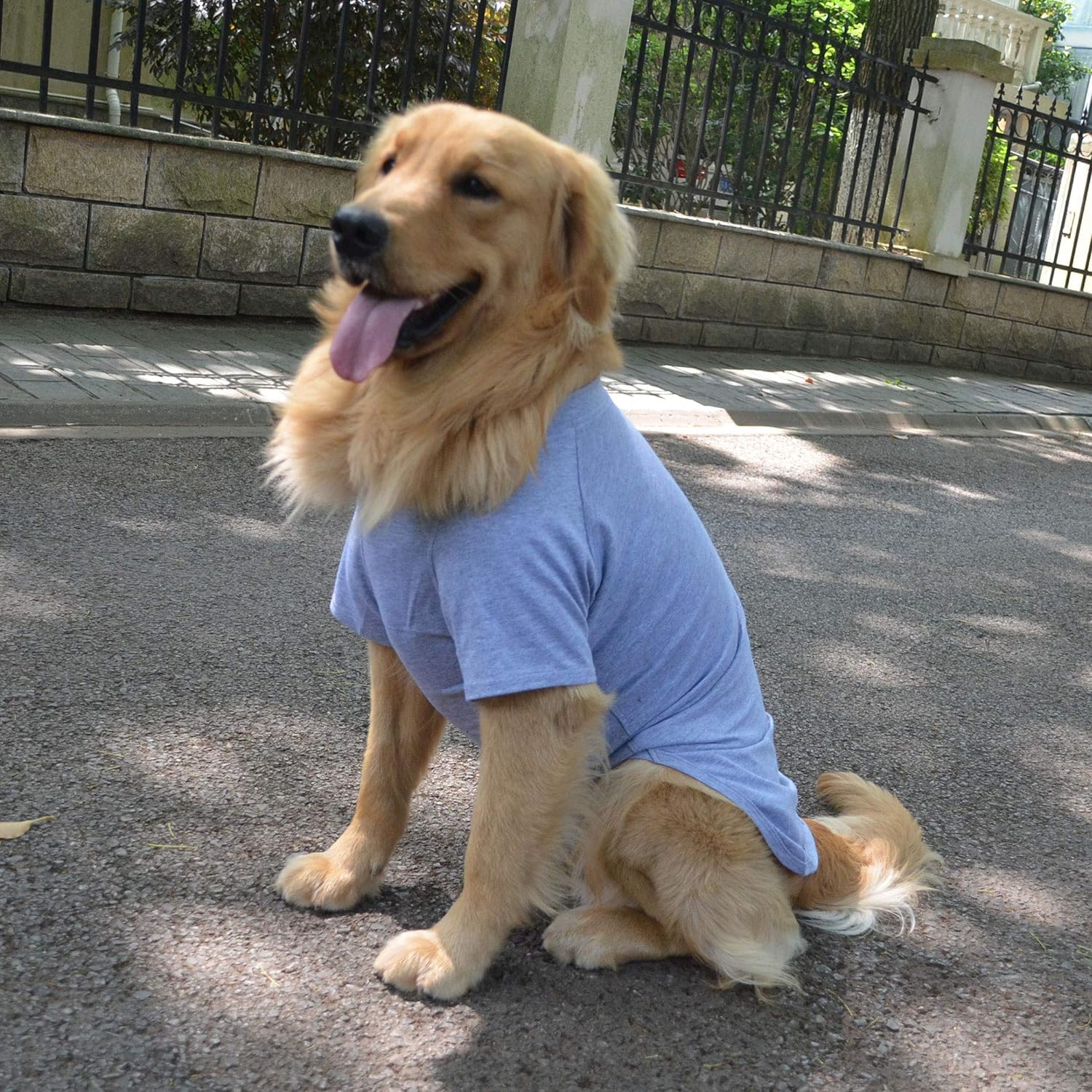 Lovelonglong camiseta para perro gris XXXXL, ideal para uso diario y descanso.