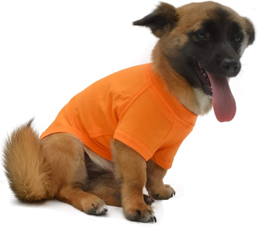 Lovelonglong camiseta perro salchicha prueba paseo frío, calentamiento ligero
