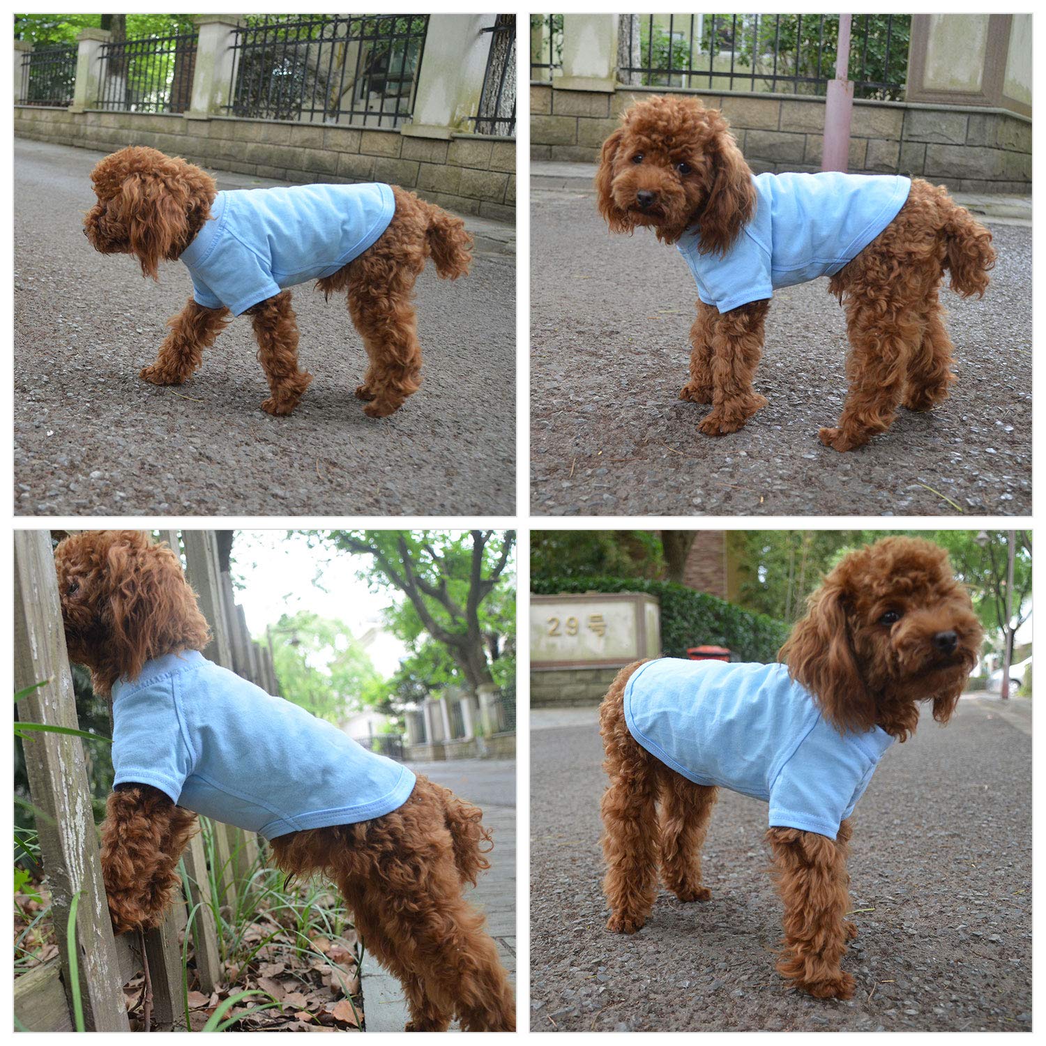 Lovelonglong Camiseta perro algodón cómodo para climas frescos