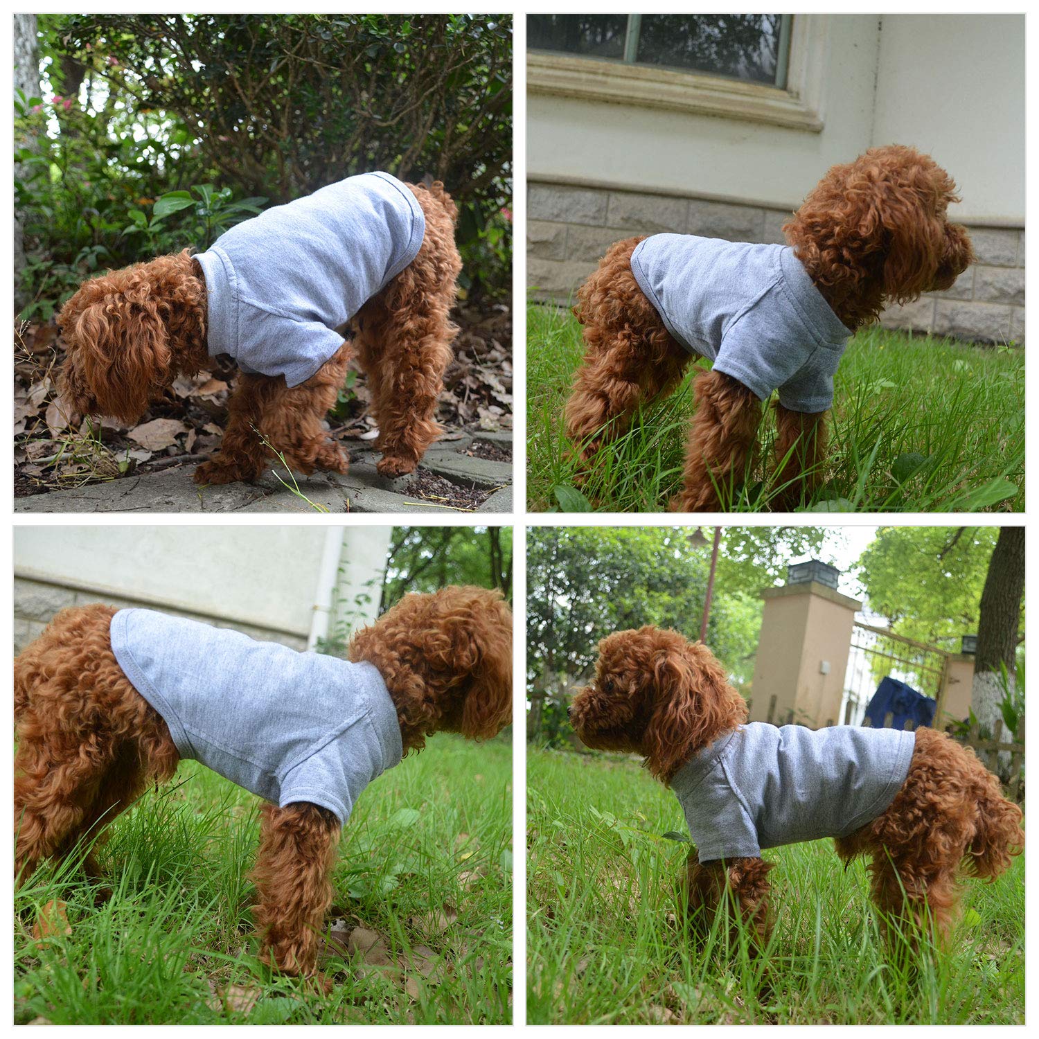 Lovelonglong camiseta para perros mediana, ajuste cómodo.