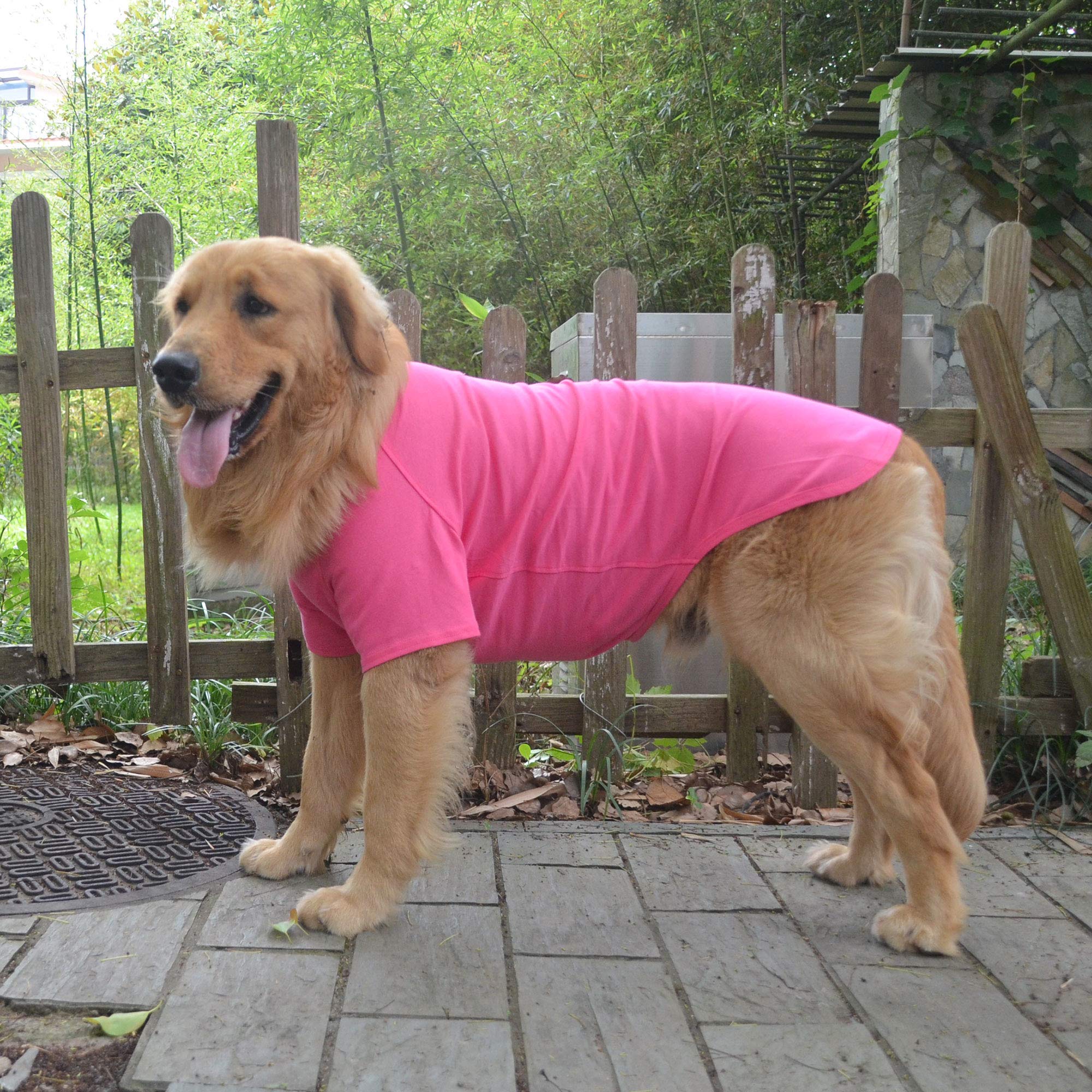 Lovelonglong camiseta-perro-tallas-mediano, ajuste cómodo para razas medias.