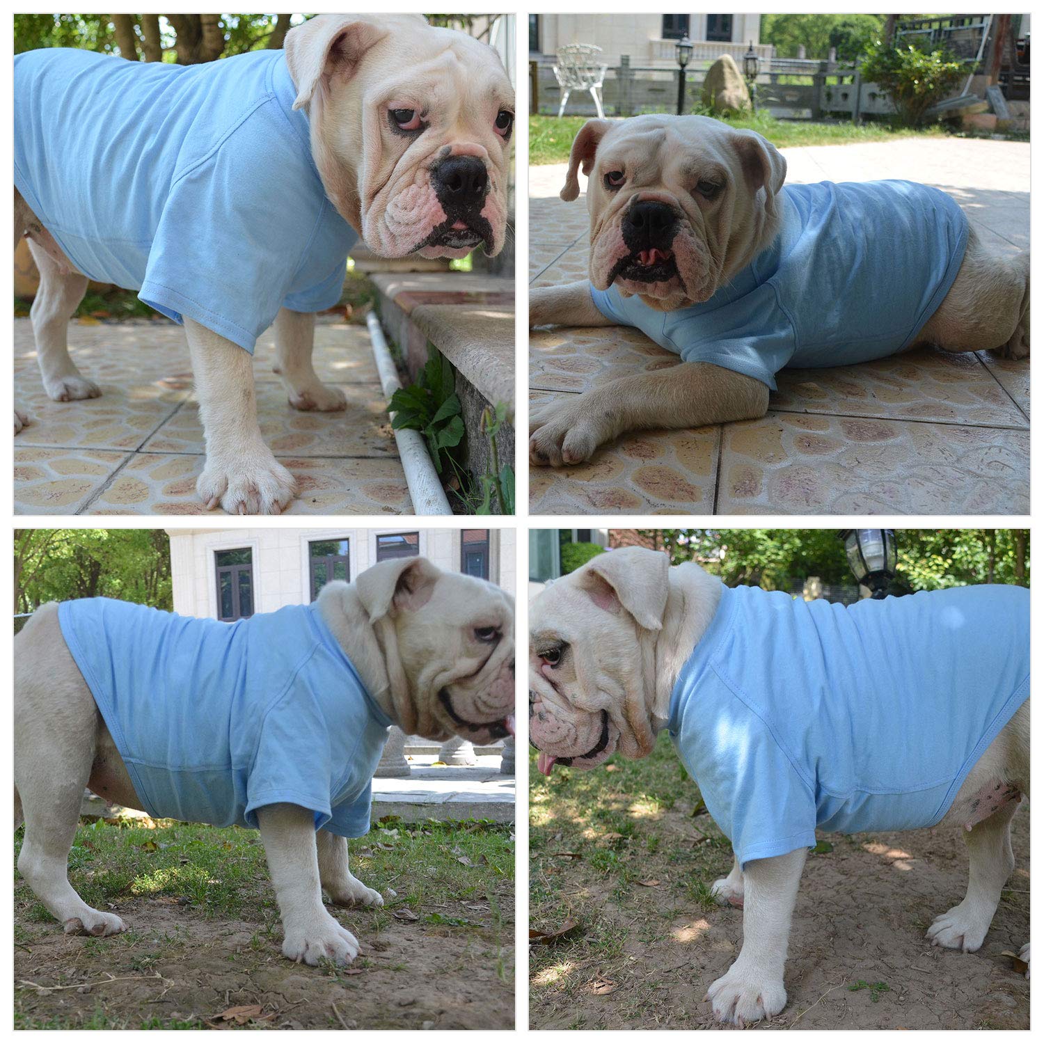 Lovelonglong Camiseta para perro tela transpirable para mayor confort