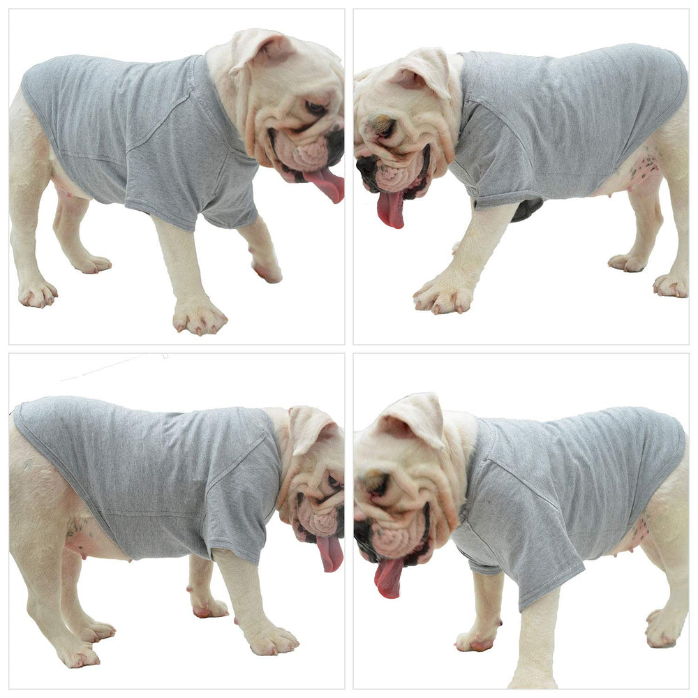 Lovelonglong camiseta para perros, uso diario y salidas con colores brillantes.