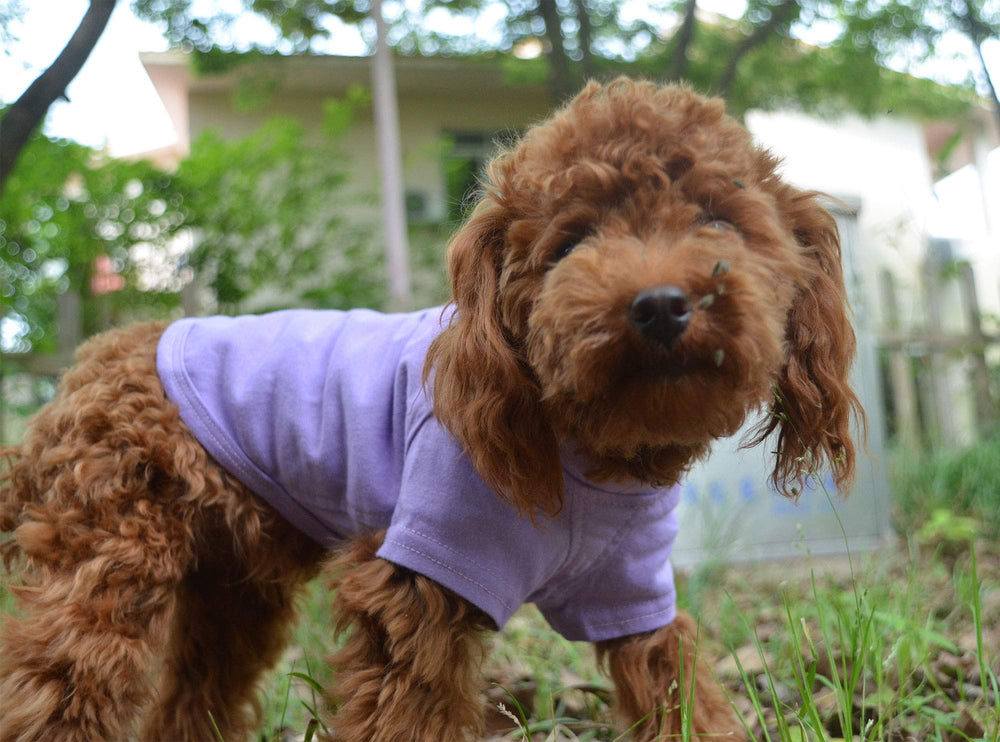 Modelo con perro usando Lovelonglong color violeta XS