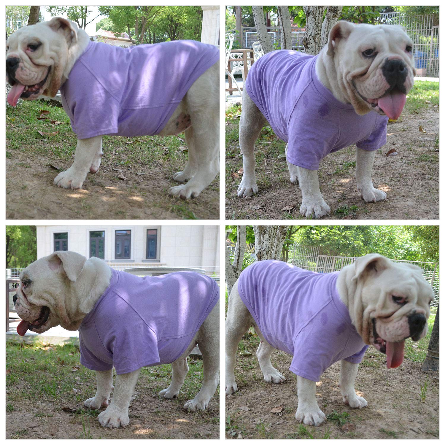 Uso diario de la camiseta Lovelonglong para perro