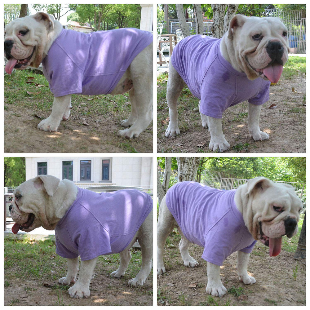 Uso diario de la camiseta Lovelonglong para perro