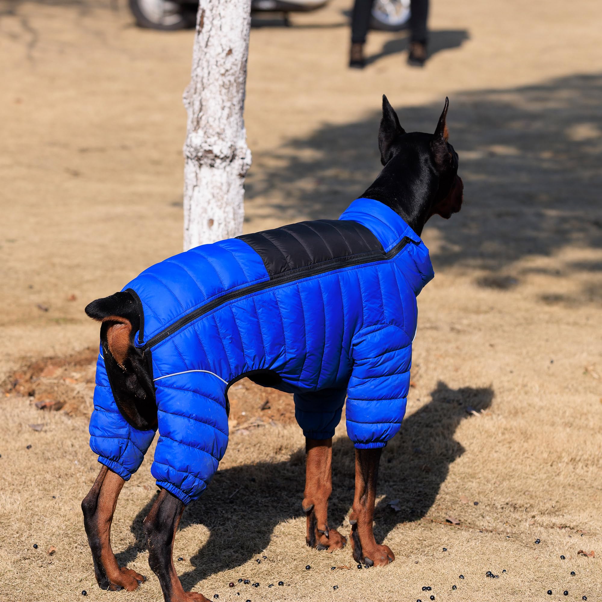 Lovelonglong cazadora con cierre ajustable en pecho para un ajuste perfecto.
