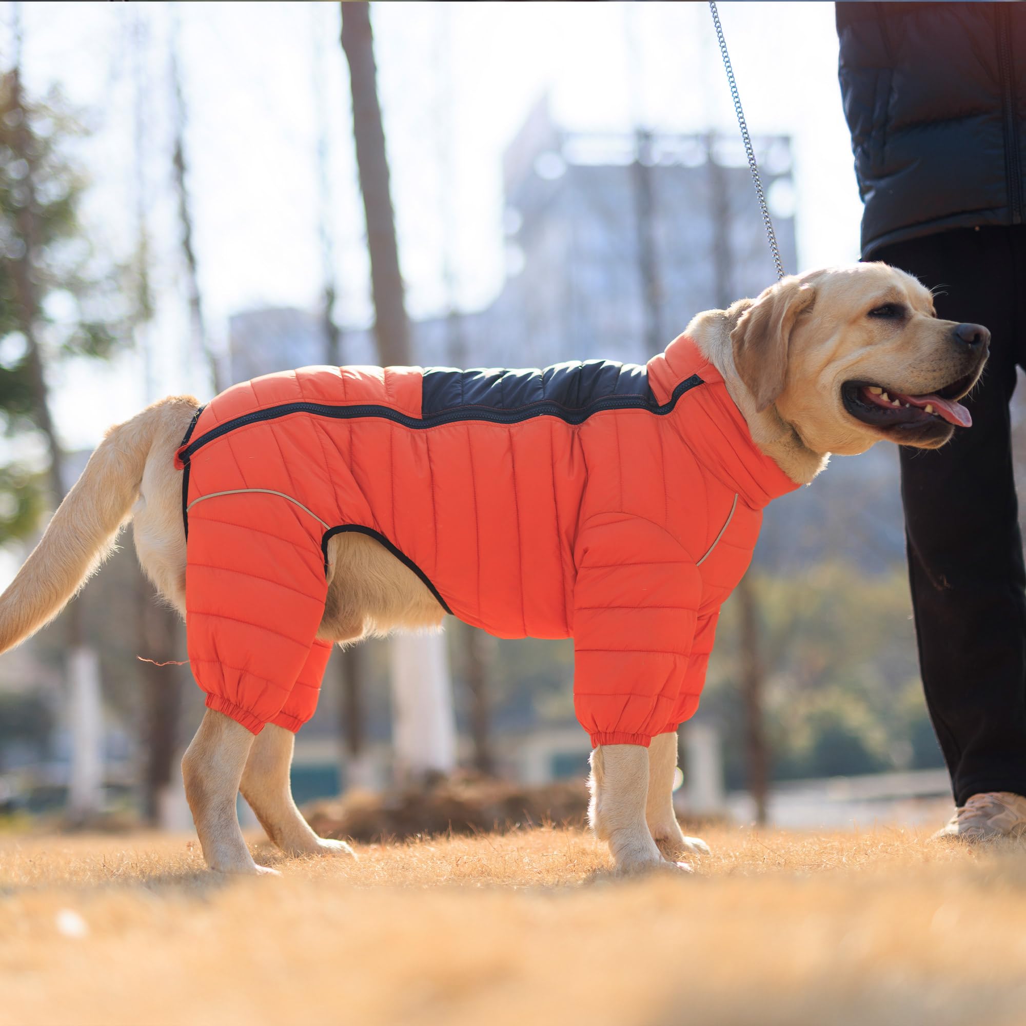 Lovelonglong chaleco perro naranja ajuste cuello para mejor ajuste.