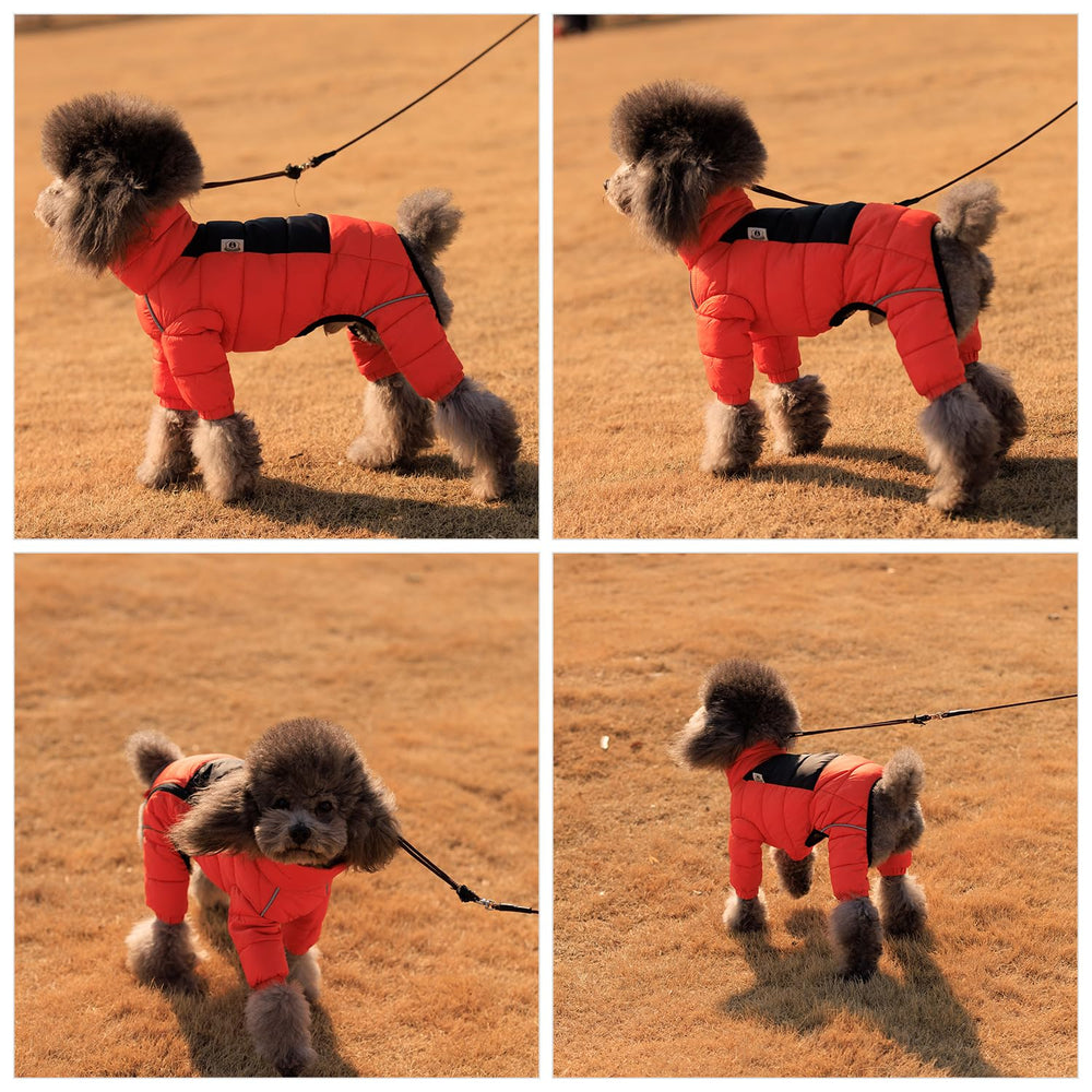 Lovelonglong chaleco perro naranja correas pecho ajustables para ajuste cómodo.