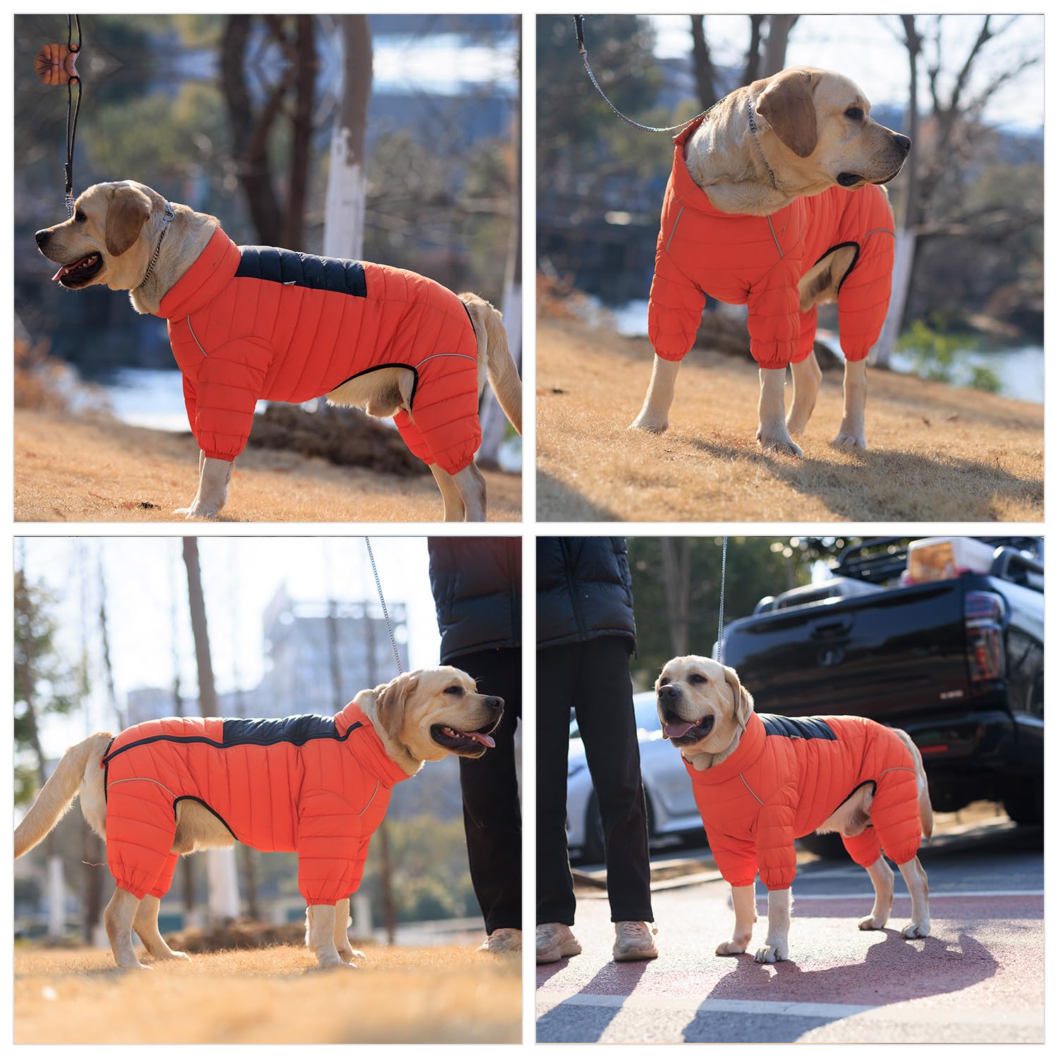 Lovelonglong chaleco perro naranja reflectantes en la espalda para seguridad nocturna.