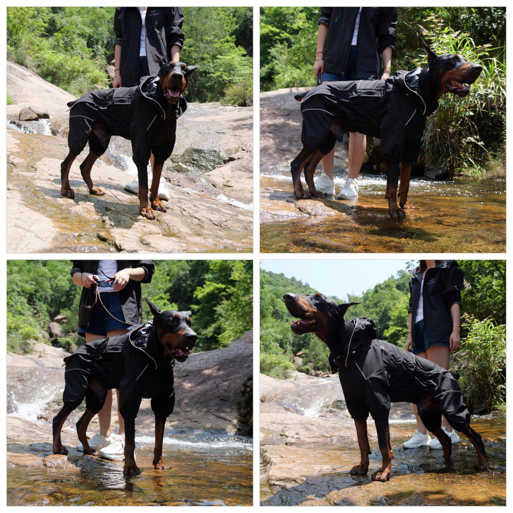 Lovelonglong cobertura de cuatro patas mantiene al perro limpio y seco.