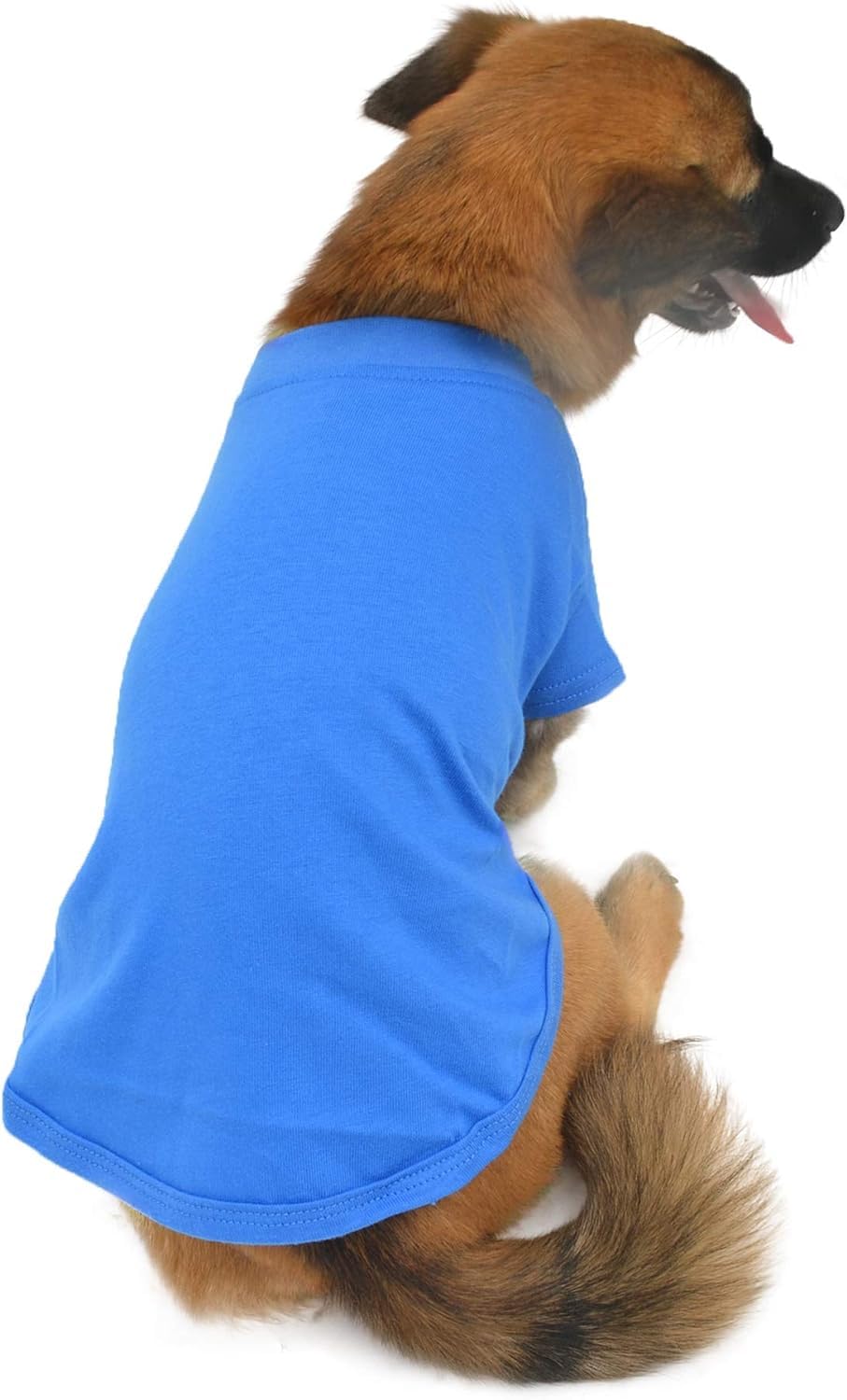 Diseño Lovelonglong con espalda larga, ideal para perros de cuerpo largo