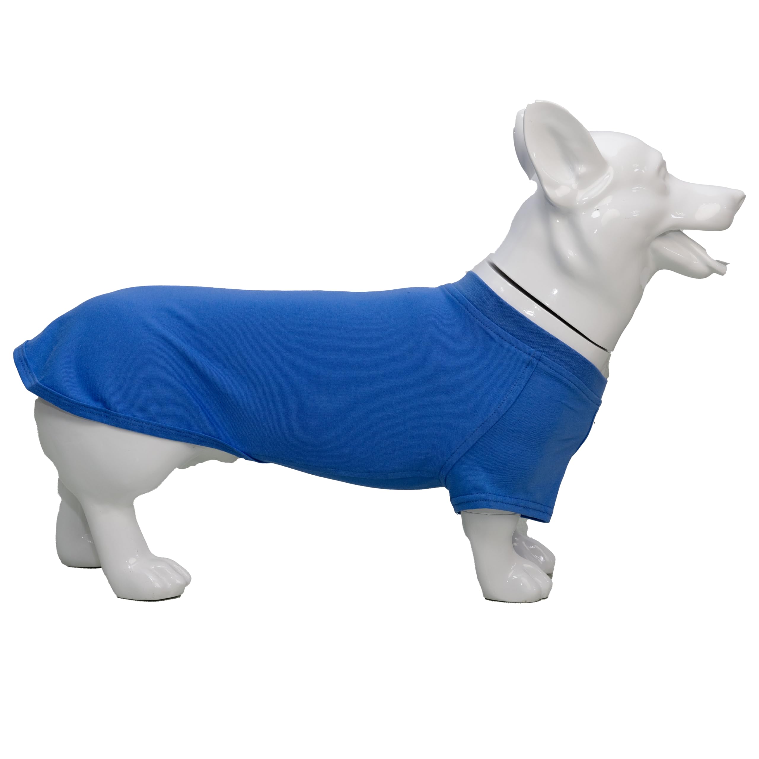 Perro con camiseta Lovelonglong caminando, look casual y cómodo